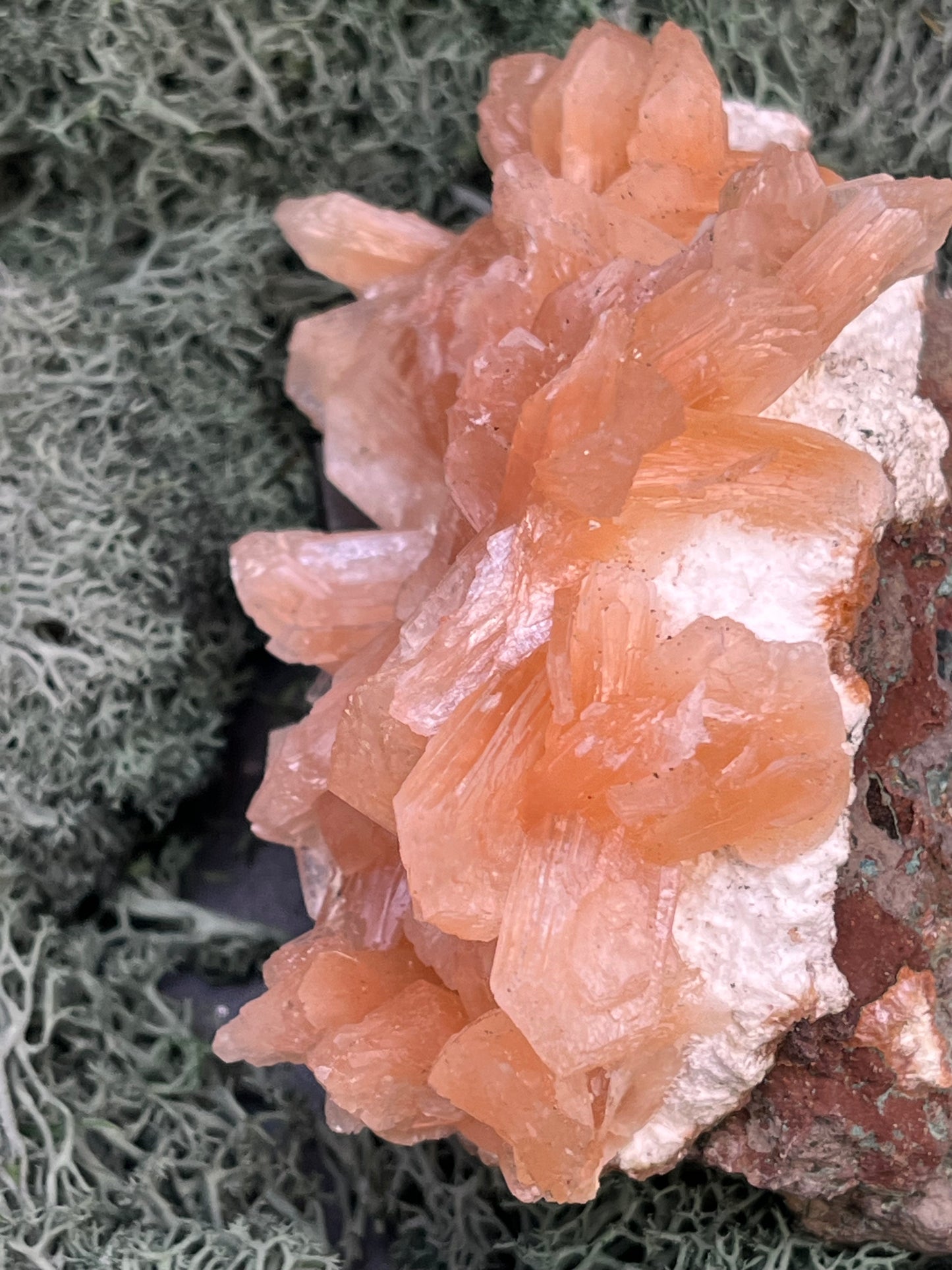 Stilbit Cluster Handstufe auf Zeolith aus Indien (193g) - viele grosse Kristalle - crystal paradise