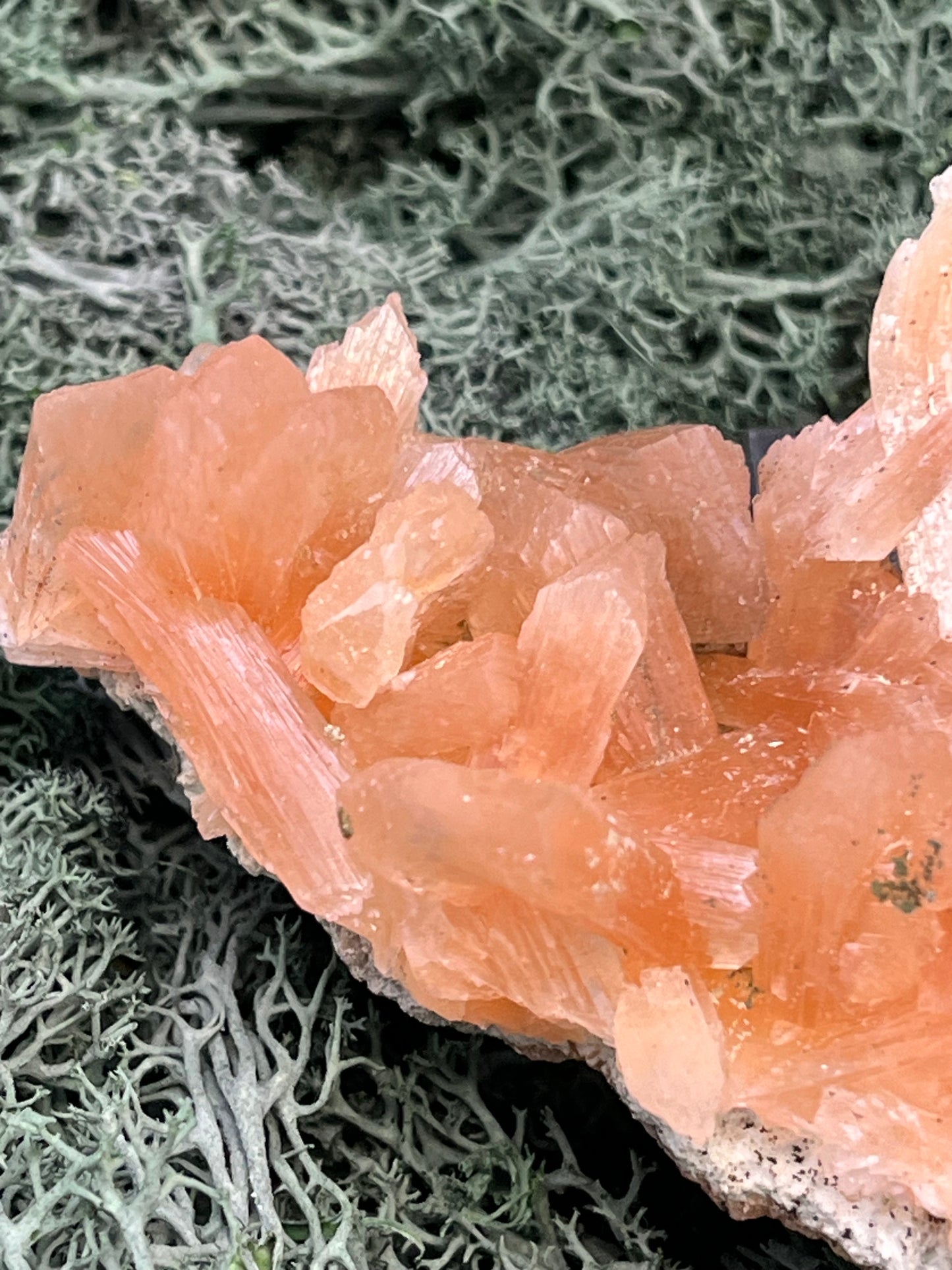 Stilbit Cluster Handstufe auf Zeolith aus Indien (110g) - viele grosse Kristalle - crystal paradise