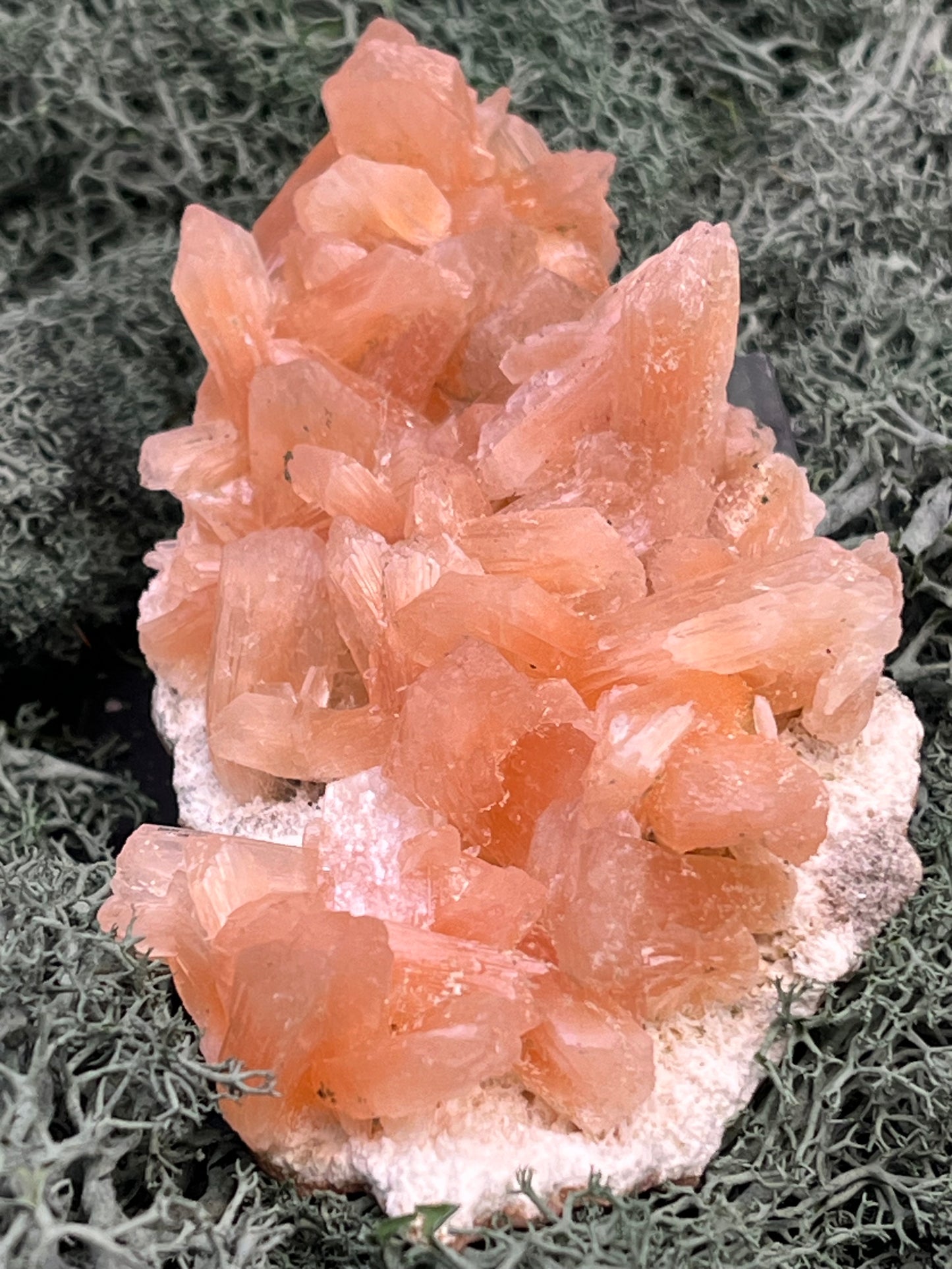 Stilbit Cluster Handstufe auf Zeolith aus Indien (110g) - viele grosse Kristalle - crystal paradise