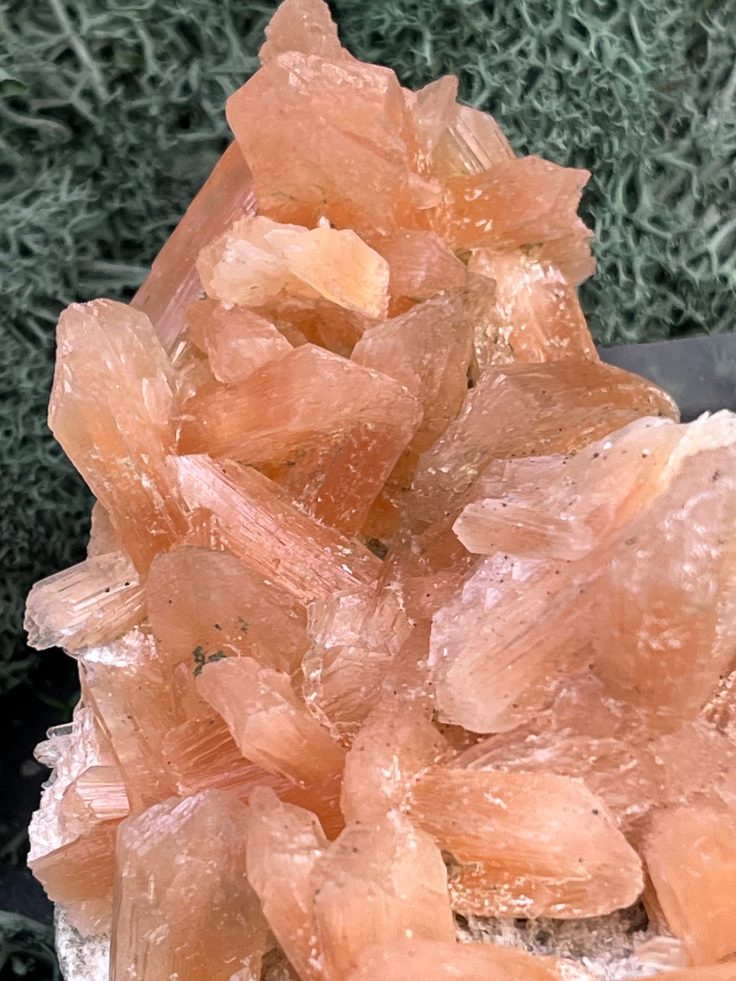 Stilbit Cluster Handstufe auf Zeolith aus Indien (110g) - viele grosse Kristalle - crystal paradise