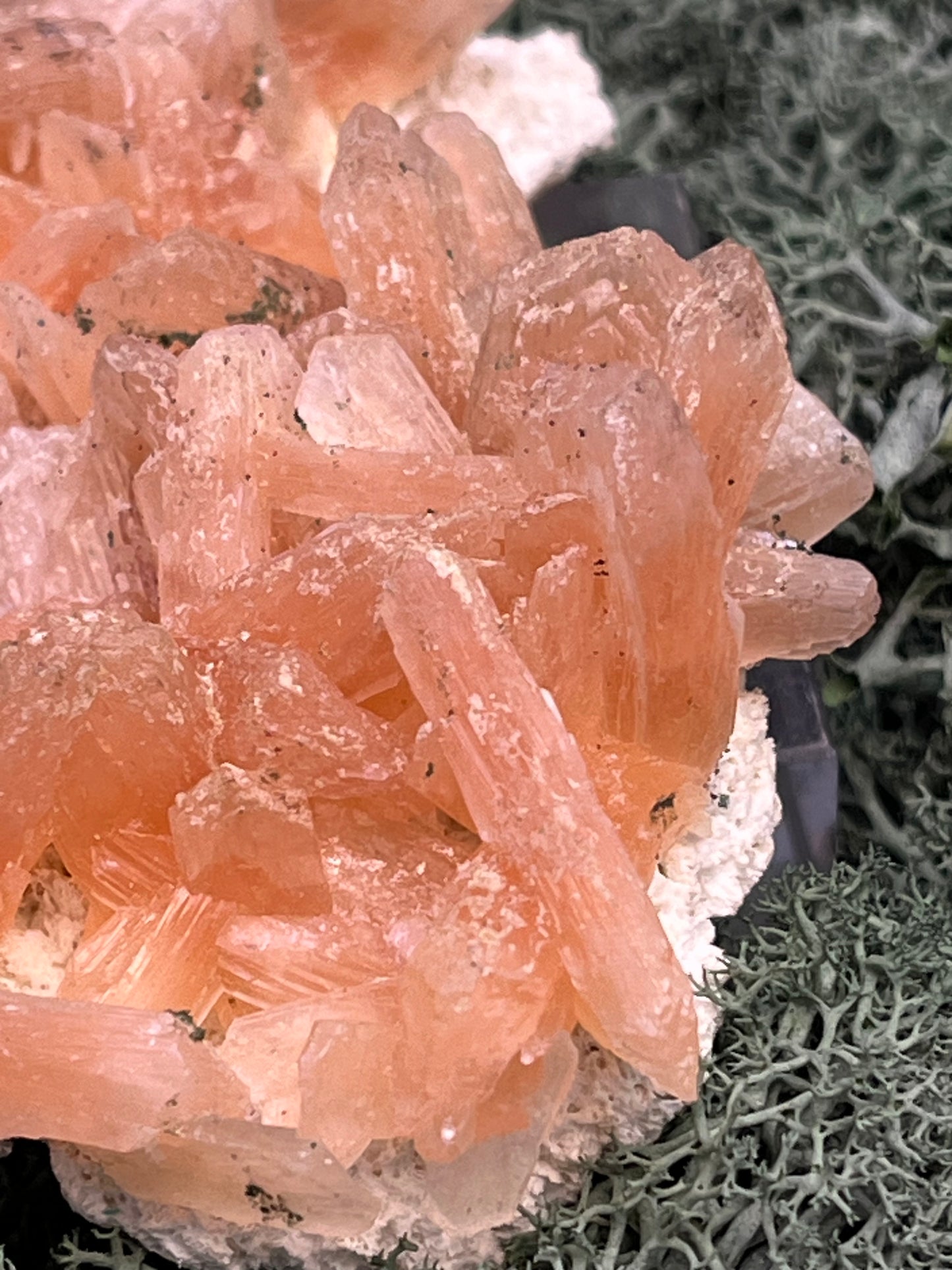 Stilbit Cluster Handstufe auf Zeolith aus Indien (100g) - viele grosse Kristalle - crystal paradise