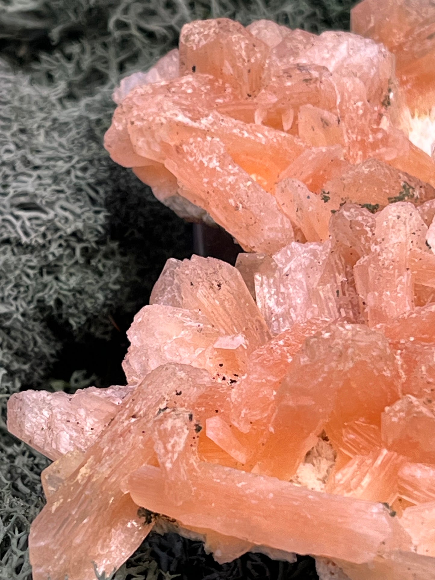 Stilbit Cluster Handstufe auf Zeolith aus Indien (100g) - viele grosse Kristalle - crystal paradise
