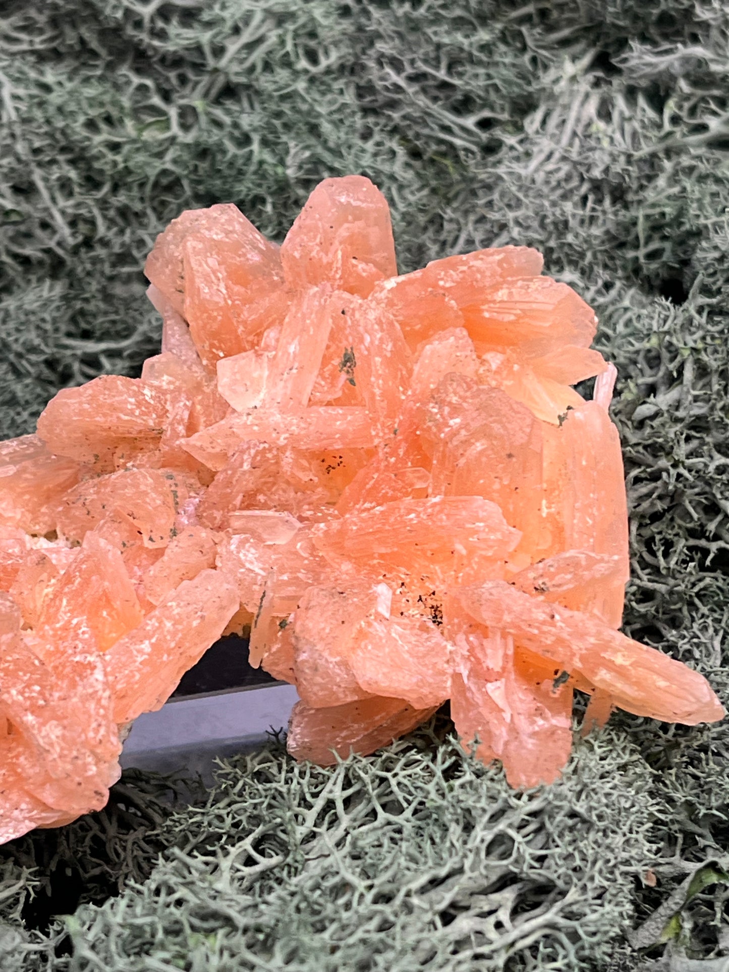 Stilbit Cluster Handstufe auf Zeolith aus Indien (100g) - viele grosse Kristalle - crystal paradise