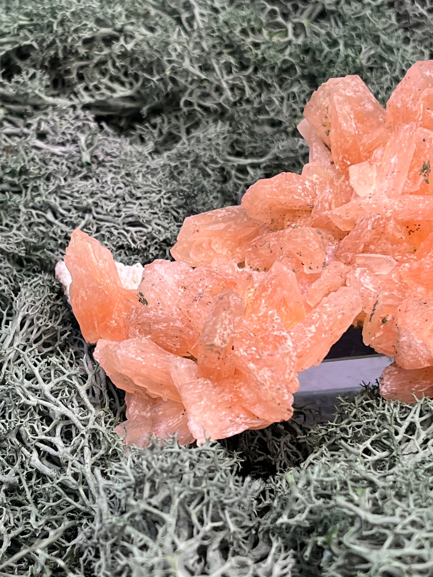 Stilbit Cluster Handstufe auf Zeolith aus Indien (100g) - viele grosse Kristalle - crystal paradise