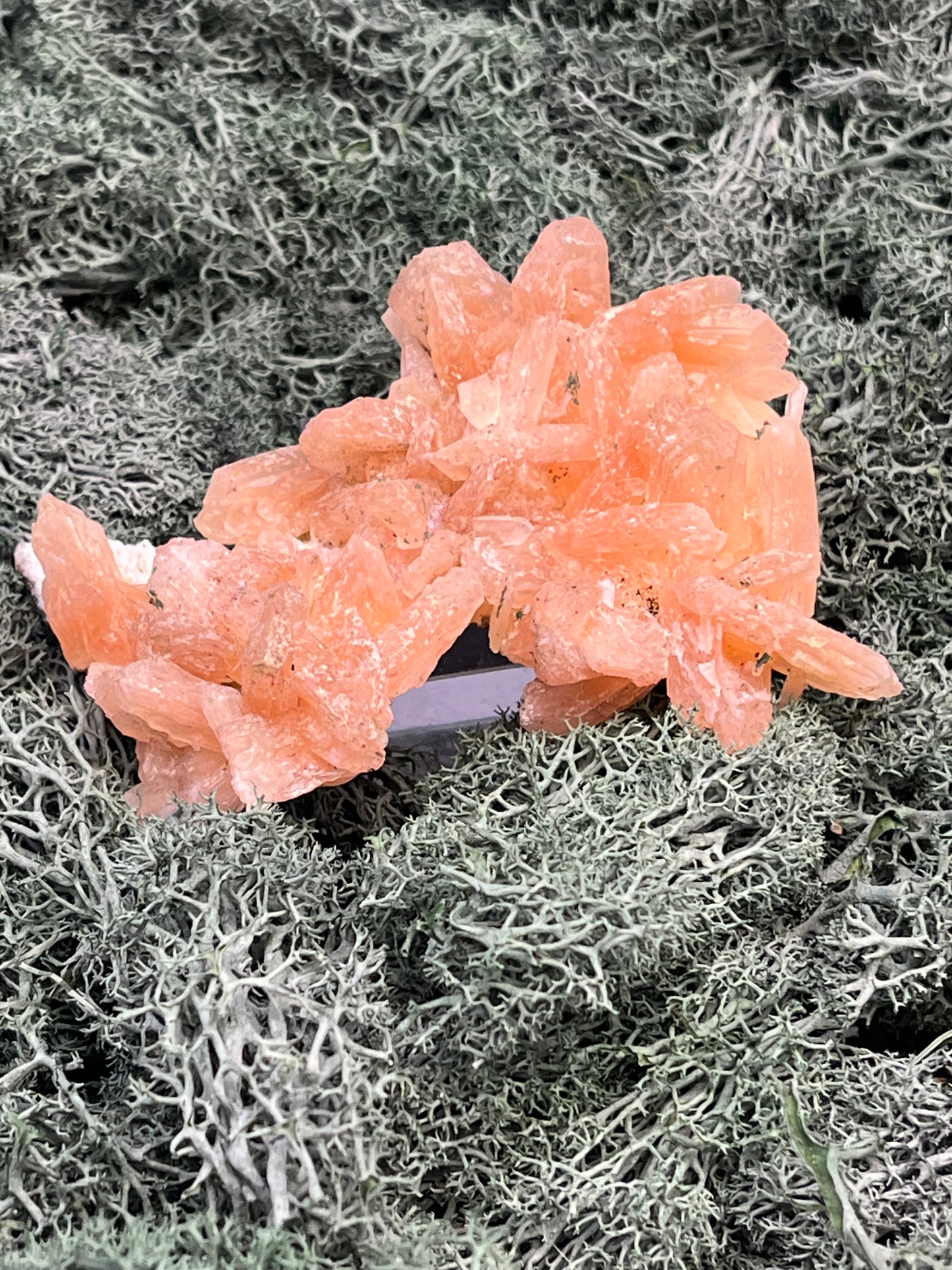 Stilbit Cluster Handstufe auf Zeolith aus Indien (100g) - viele grosse Kristalle - crystal paradise