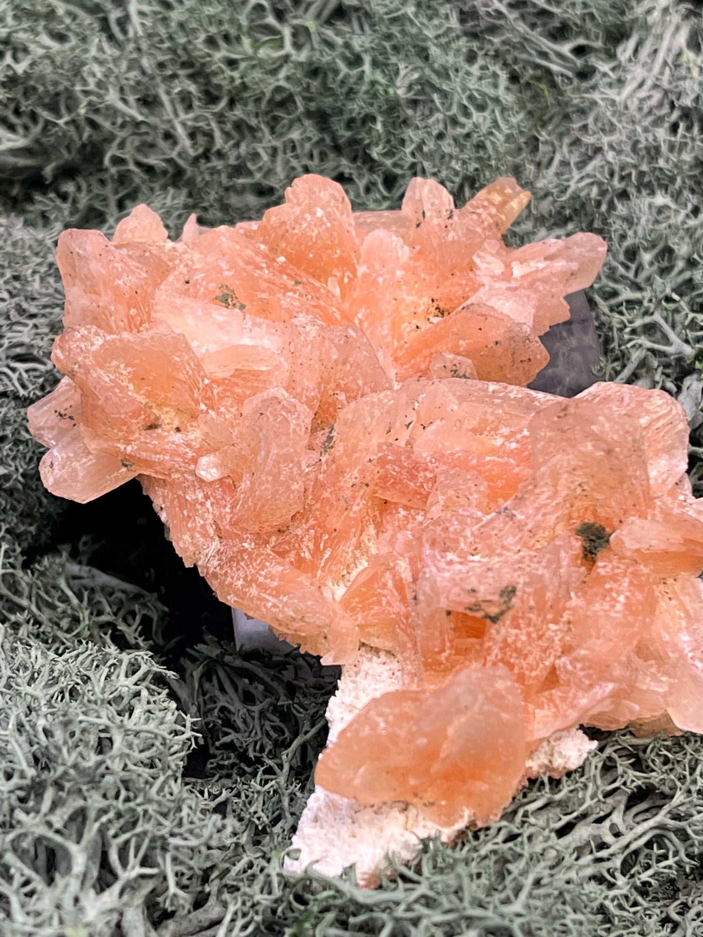 Stilbit Cluster Handstufe auf Zeolith aus Indien (100g) - viele grosse Kristalle - crystal paradise