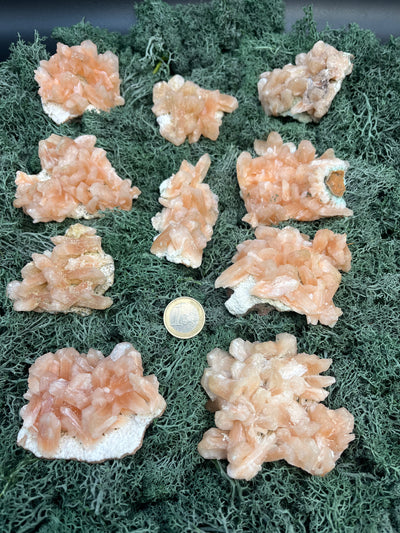 Stilbit Cluster auf Zeolith aus Indien - Handstufe - 1 Stück - crystal paradise