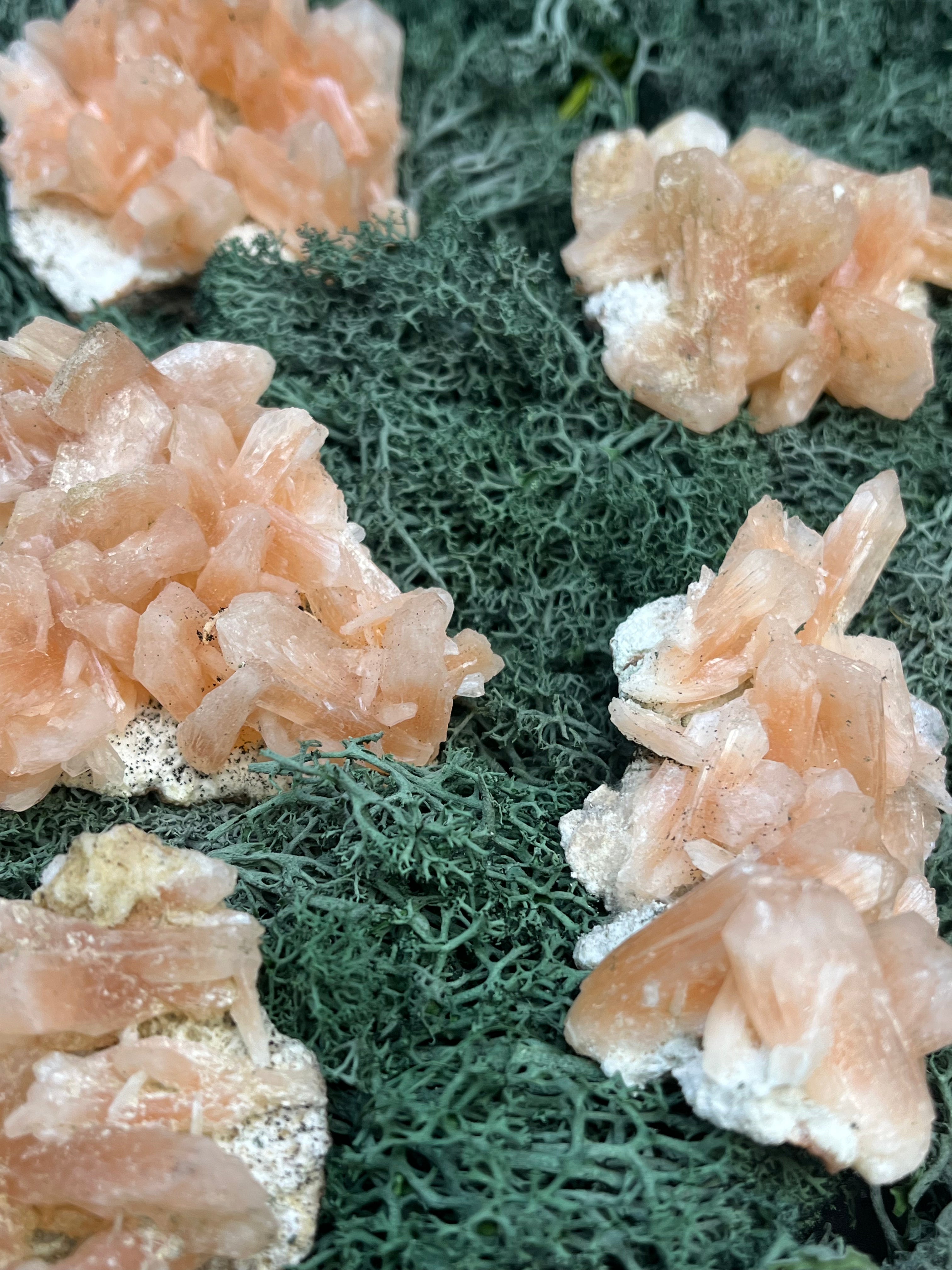 Stilbit Cluster auf Zeolith aus Indien - Handstufe - 1 Stück - crystal paradise