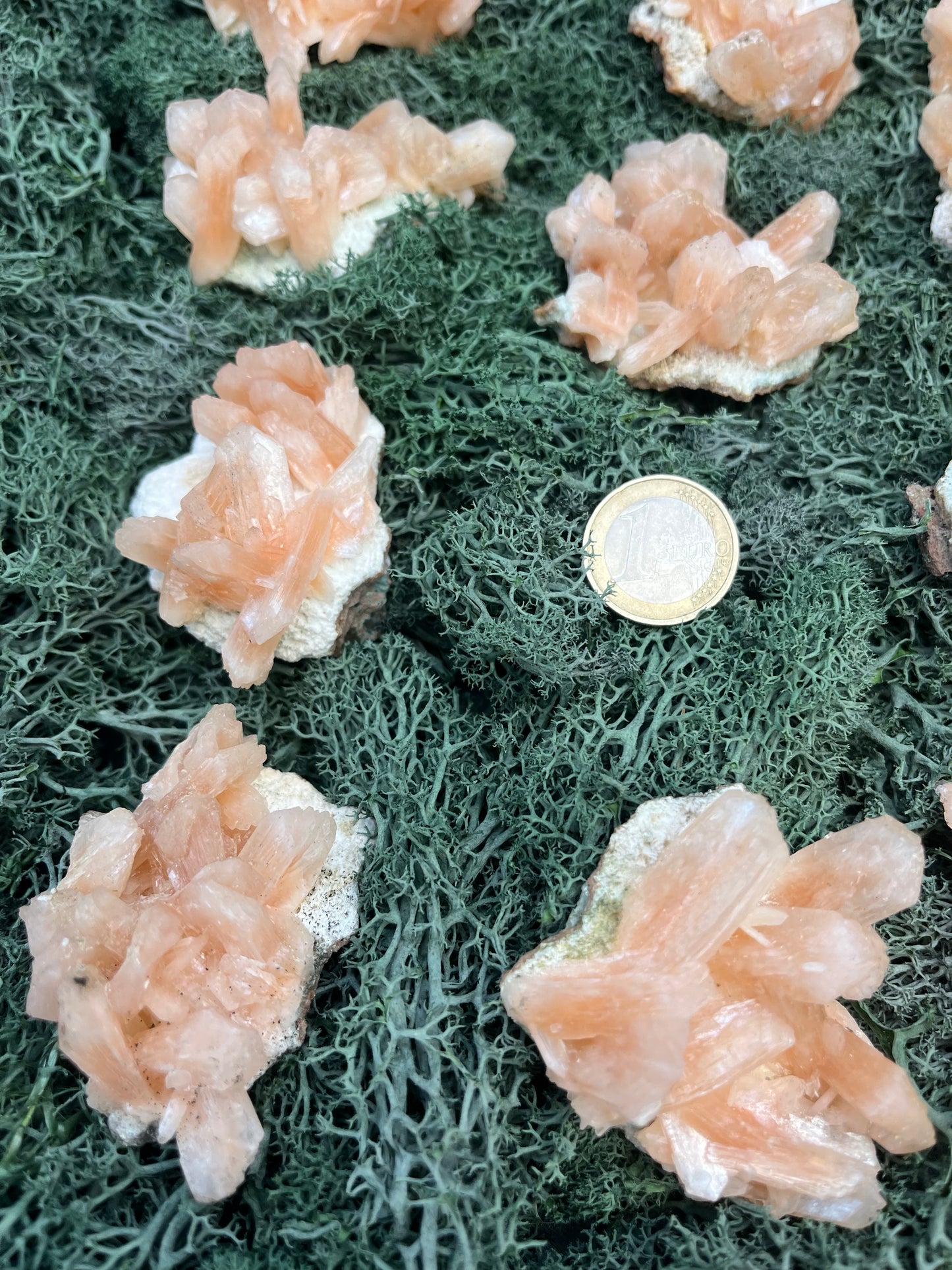 Stilbit Cluster auf Zeolith aus Indien - Stufe - 1 Stück - crystal paradise