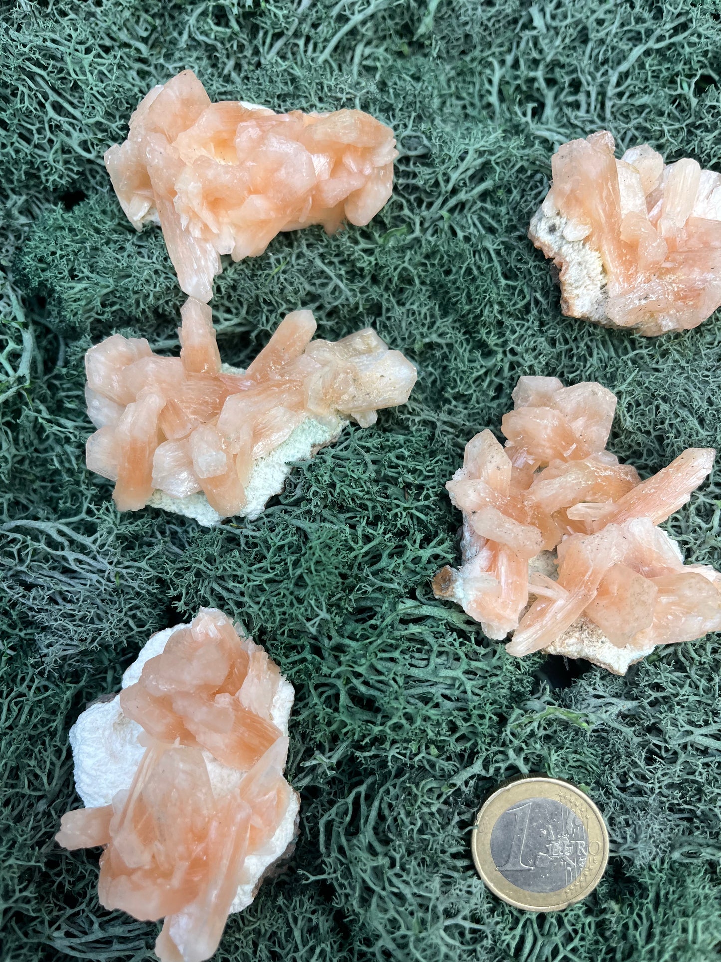 Stilbit Cluster auf Zeolith aus Indien - Stufe - 1 Stück - crystal paradise