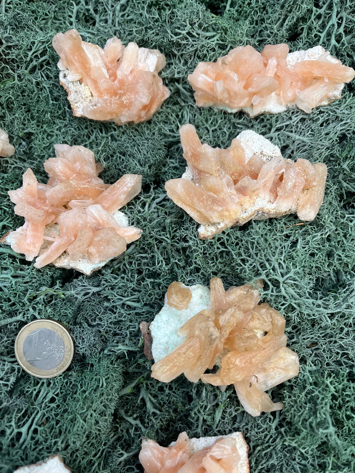 Stilbit Cluster auf Zeolith aus Indien - Stufe - 1 Stück - crystal paradise