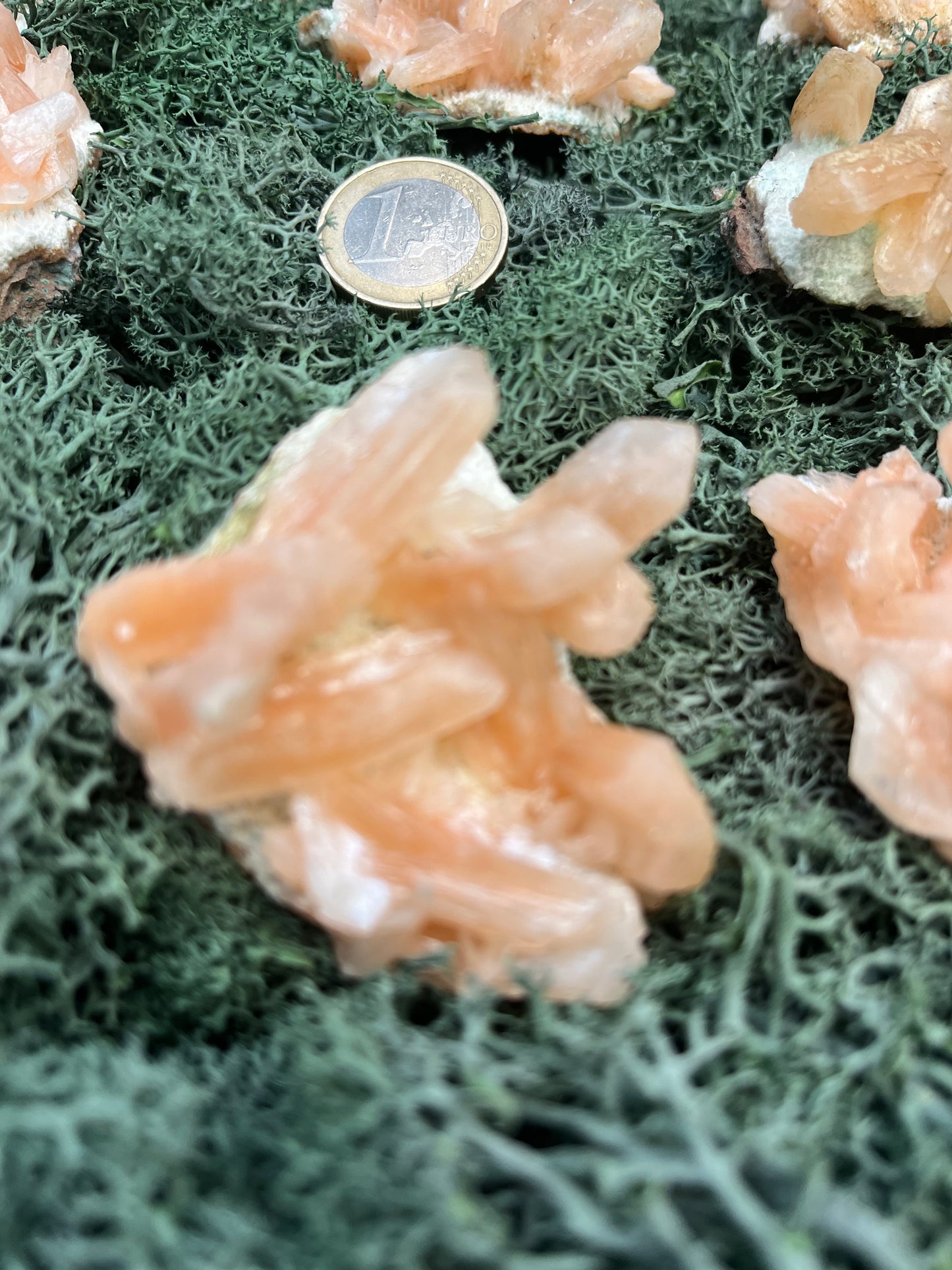 Stilbit Cluster auf Zeolith aus Indien - Stufe - 1 Stück - crystal paradise