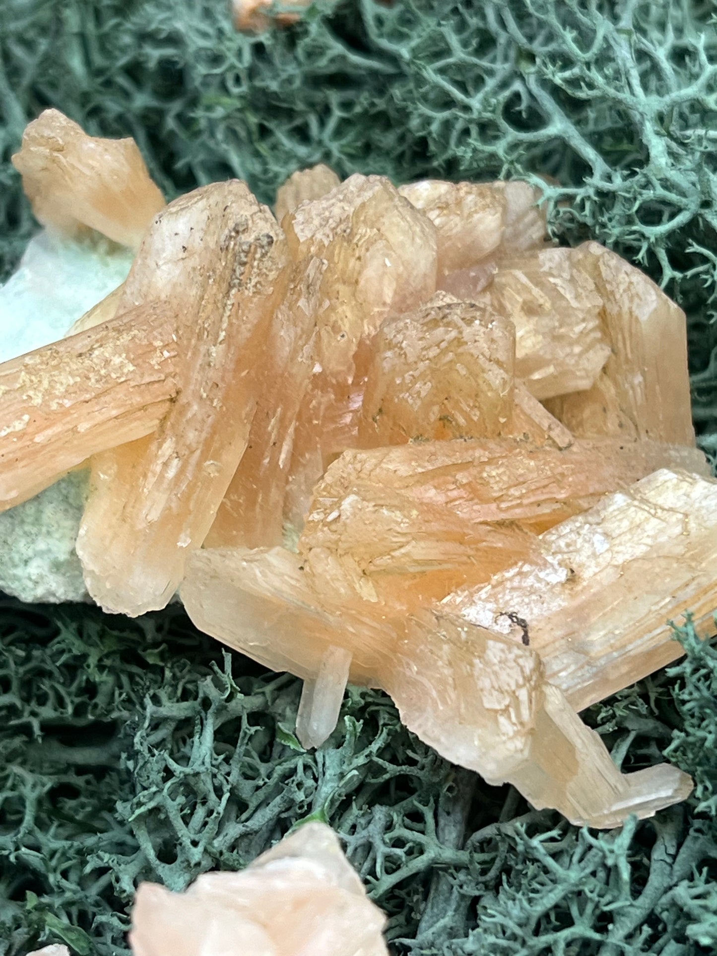 Stilbit Cluster auf Zeolith aus Indien - Stufe - 1 Stück - crystal paradise