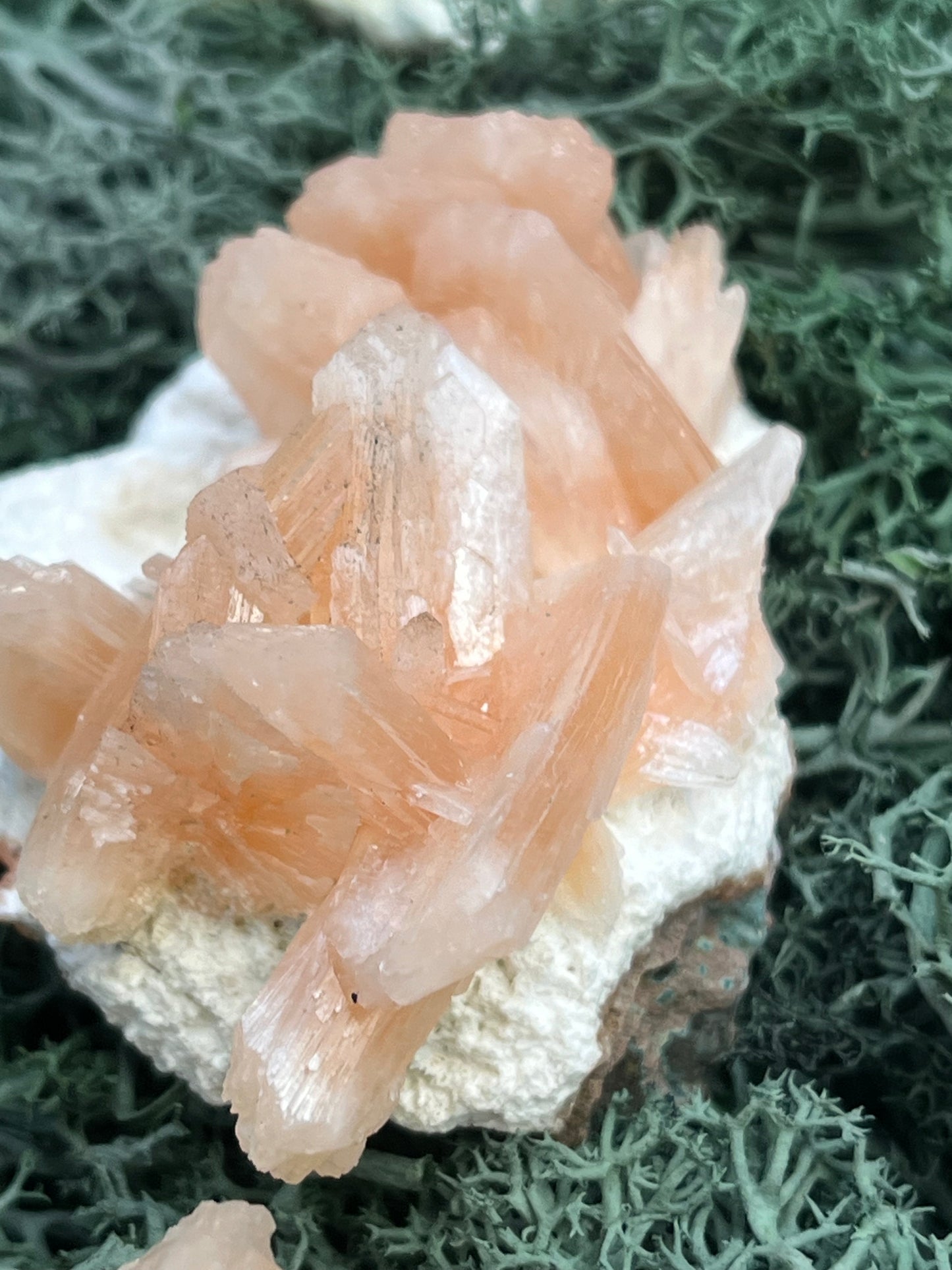 Stilbit Cluster auf Zeolith aus Indien - Stufe - 1 Stück - crystal paradise