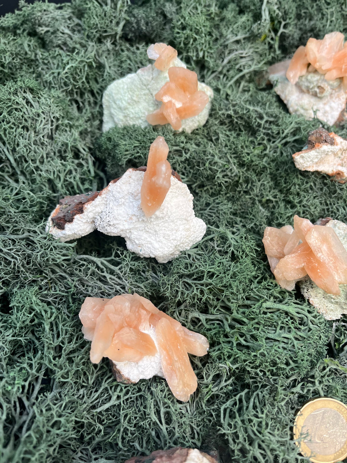 Stilbit Insel auf Zeolith aus Indien - Stufe - 1 Stück - crystal paradise