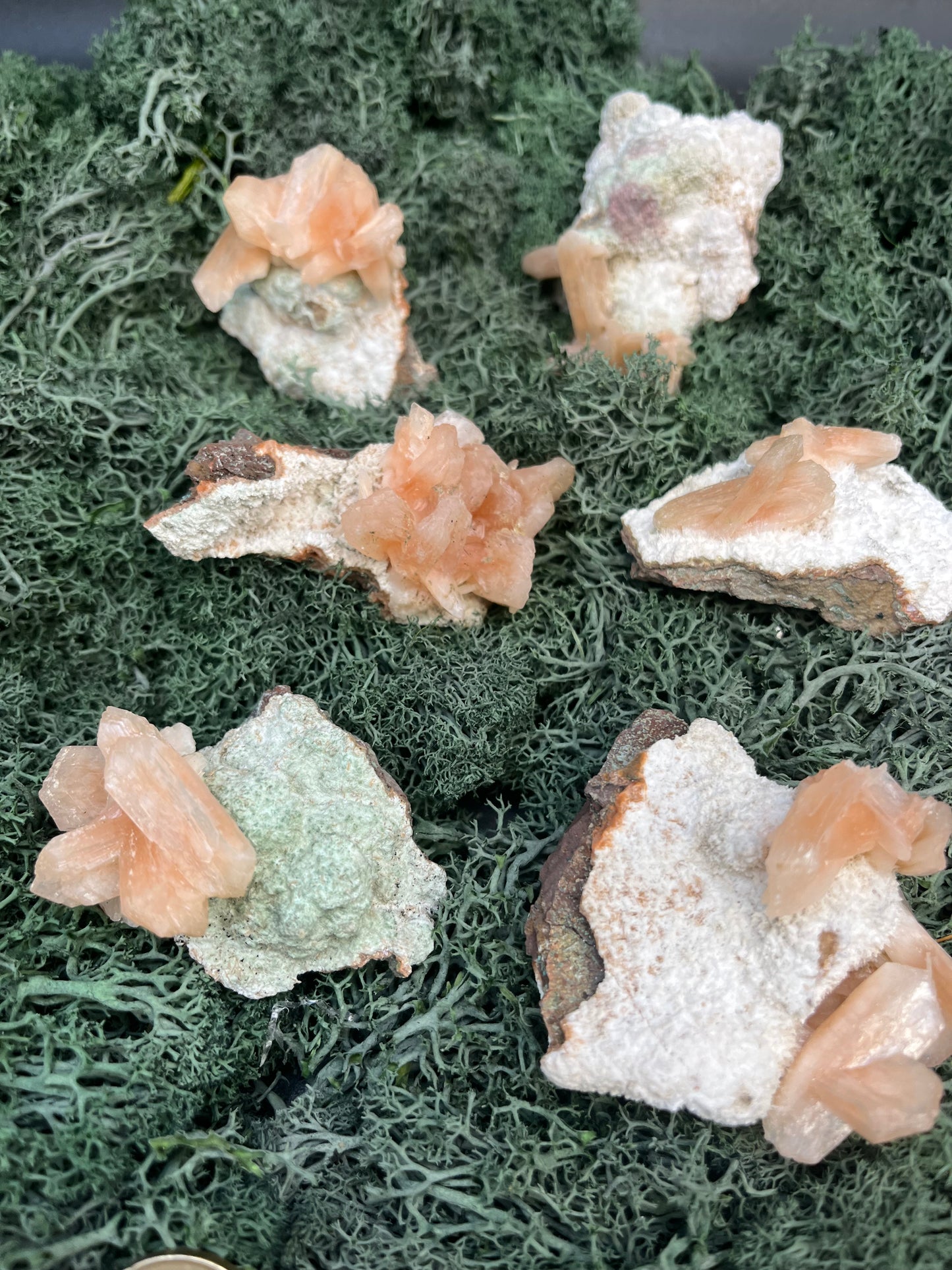 Stilbit Insel auf Zeolith aus Indien - Stufe - 1 Stück - crystal paradise