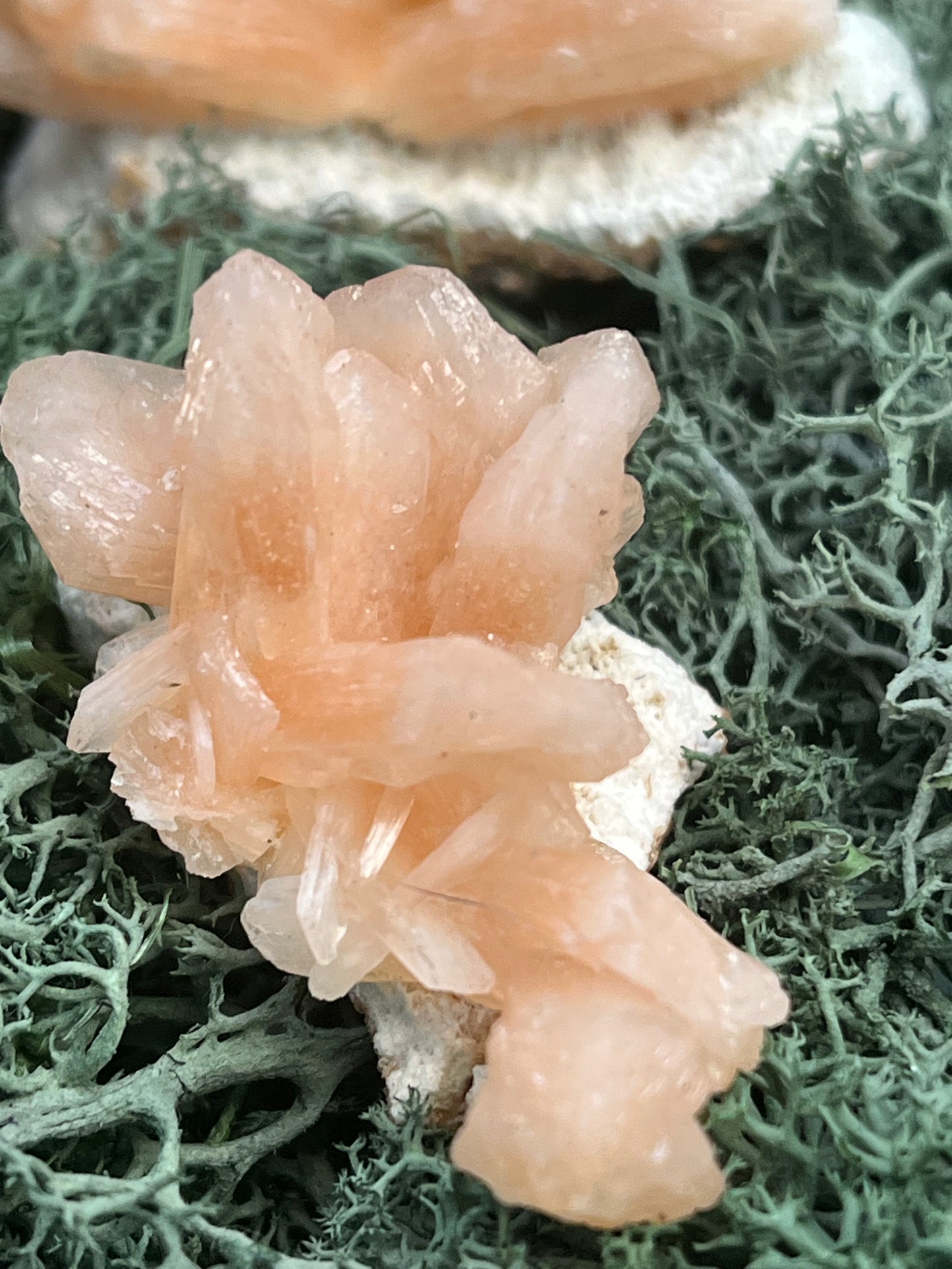 Stilbit Cluster auf Zeolith aus Indien - kleine Stufe - 1 Stück - crystal paradise
