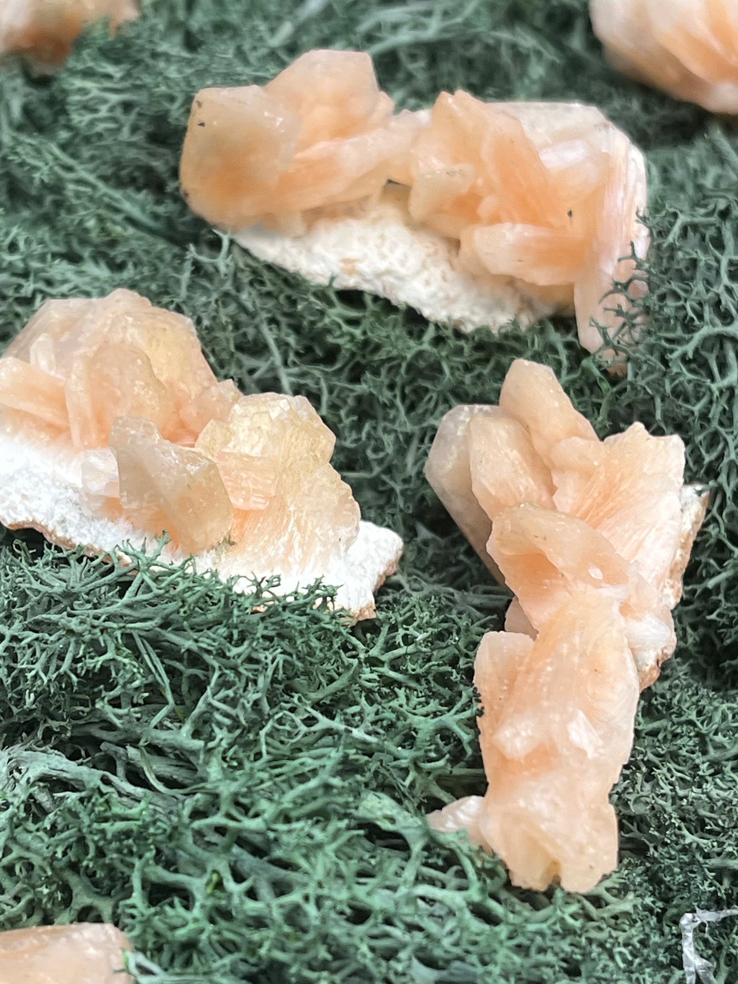 Stilbit Cluster auf Zeolith aus Indien - kleine Stufe - 1 Stück - crystal paradise