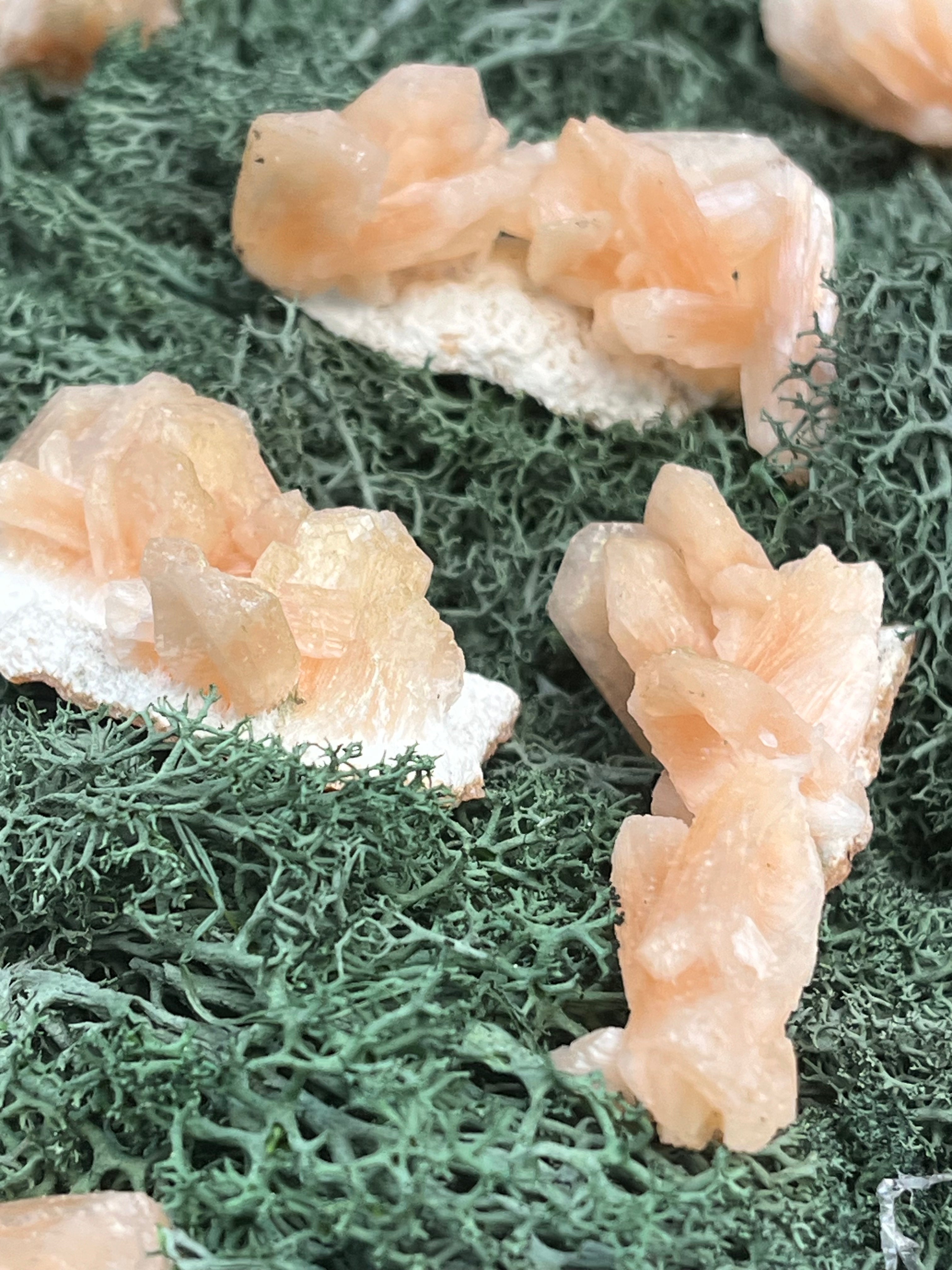 Stilbit Cluster auf Zeolith aus Indien - kleine Stufe - 1 Stück - crystal paradise