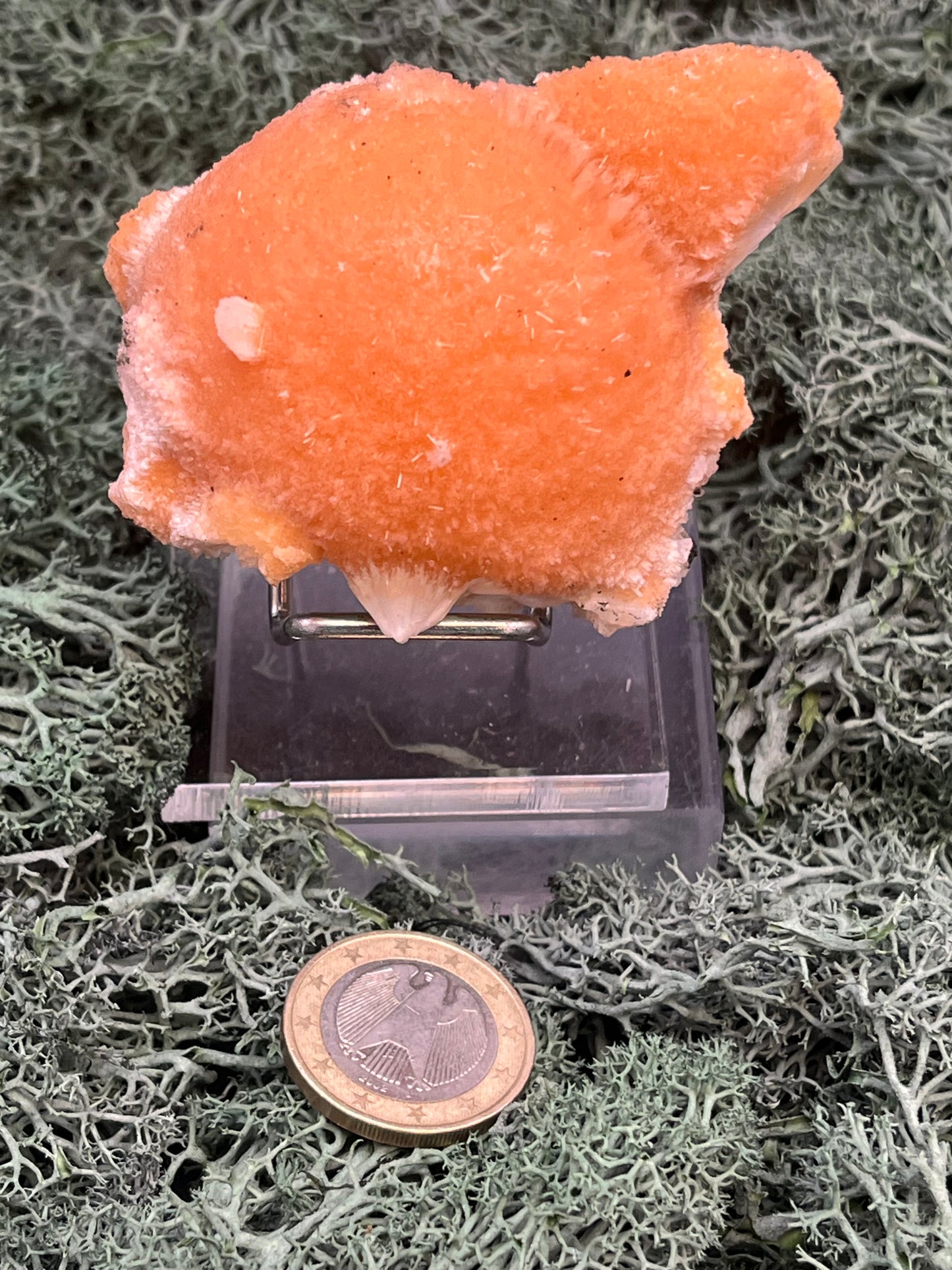 Thomsonit aus Indien (97g) - Stufe - leuchtend orange Farbe, schöne Kugelbildung - crystal paradise