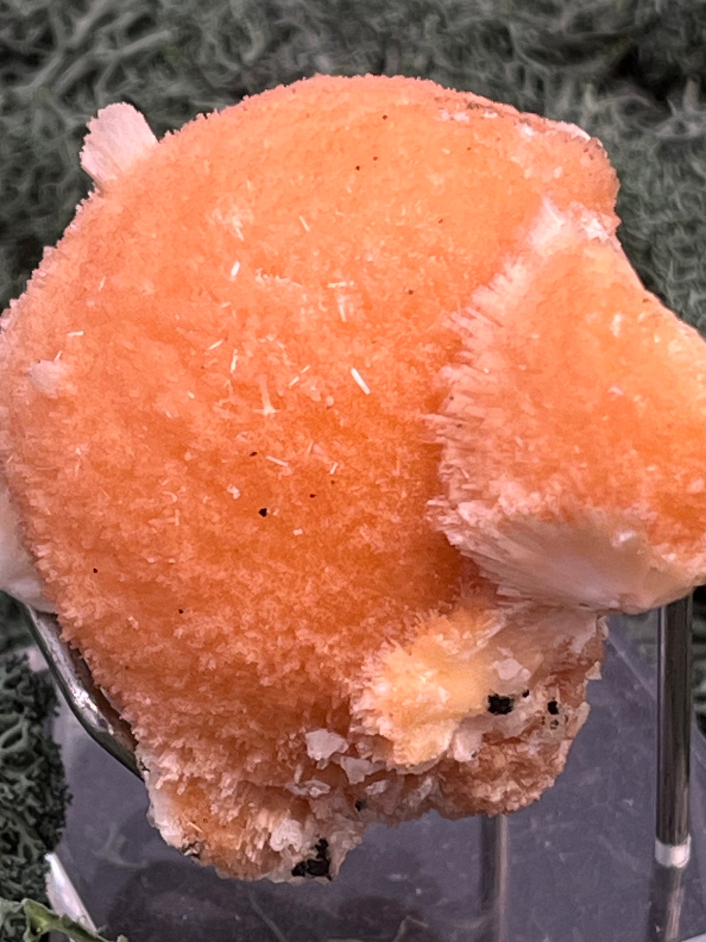 Thomsonit aus Indien (97g) - Stufe - leuchtend orange Farbe, schöne Kugelbildung - crystal paradise