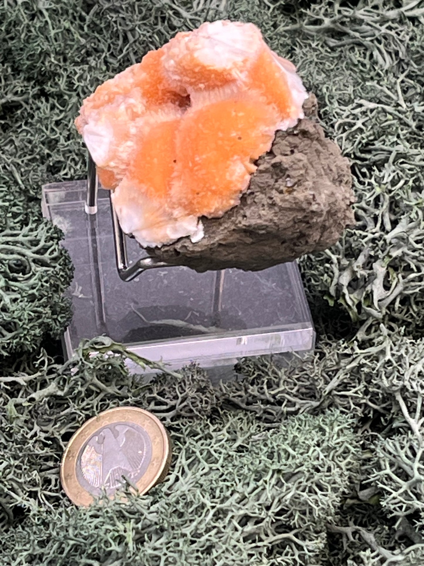Thomsonit aus Indien (98g) - Stufe - leuchtend orange Farbe, mehrere schöne Kugelbildungen auf Muttergestein - crystal paradise