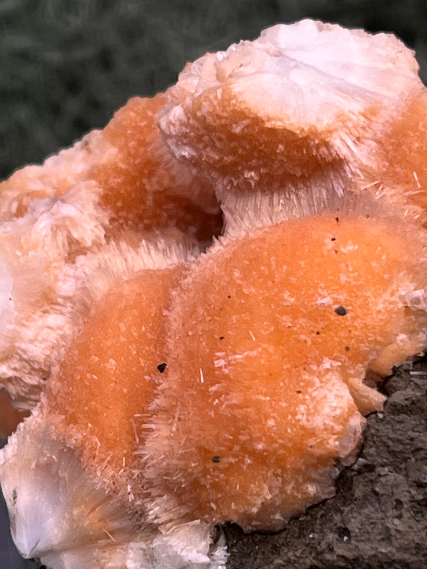 Thomsonit aus Indien (98g) - Stufe - leuchtend orange Farbe, mehrere schöne Kugelbildungen auf Muttergestein - crystal paradise