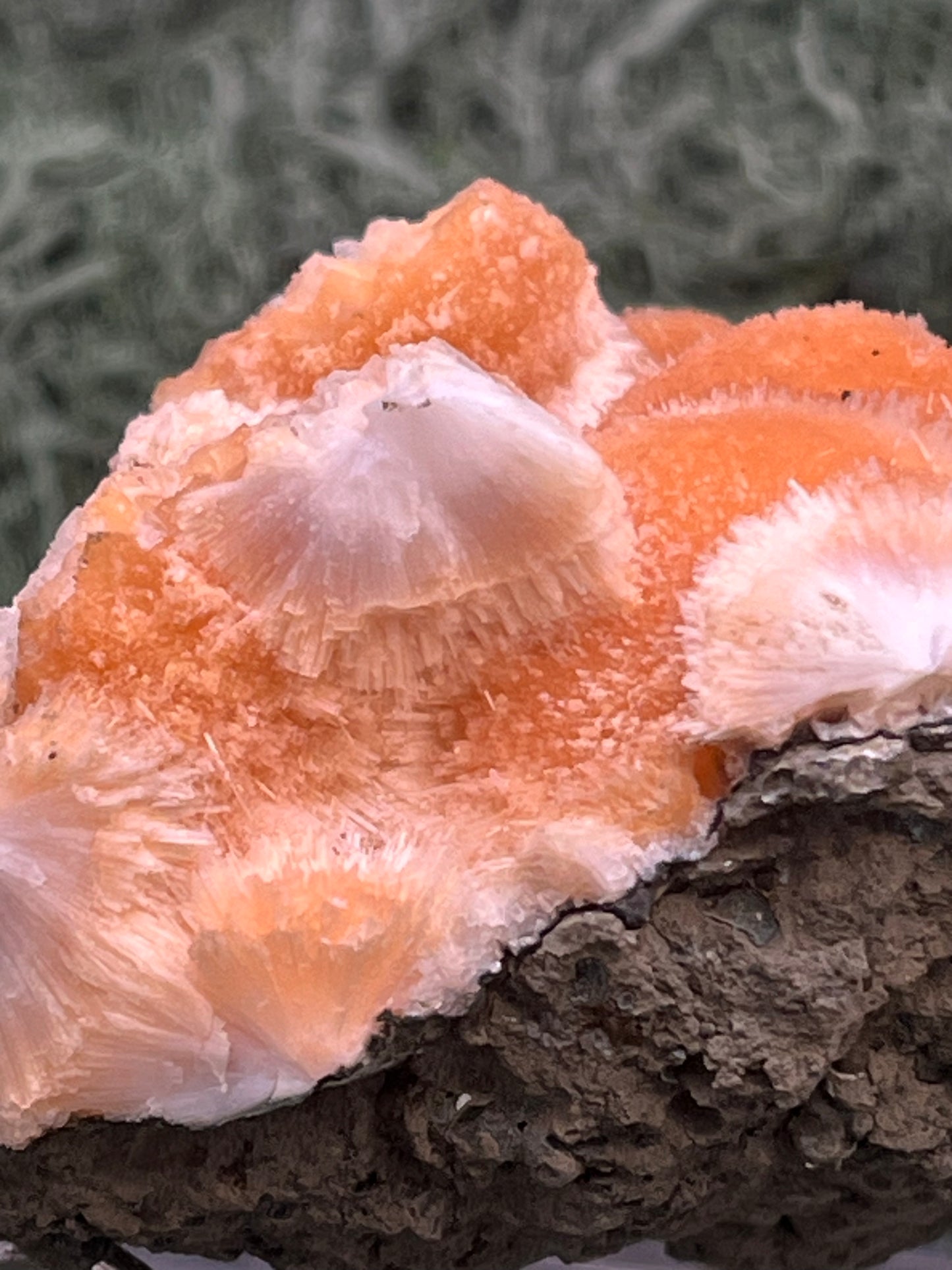 Thomsonit aus Indien (98g) - Stufe - leuchtend orange Farbe, mehrere schöne Kugelbildungen auf Muttergestein - crystal paradise