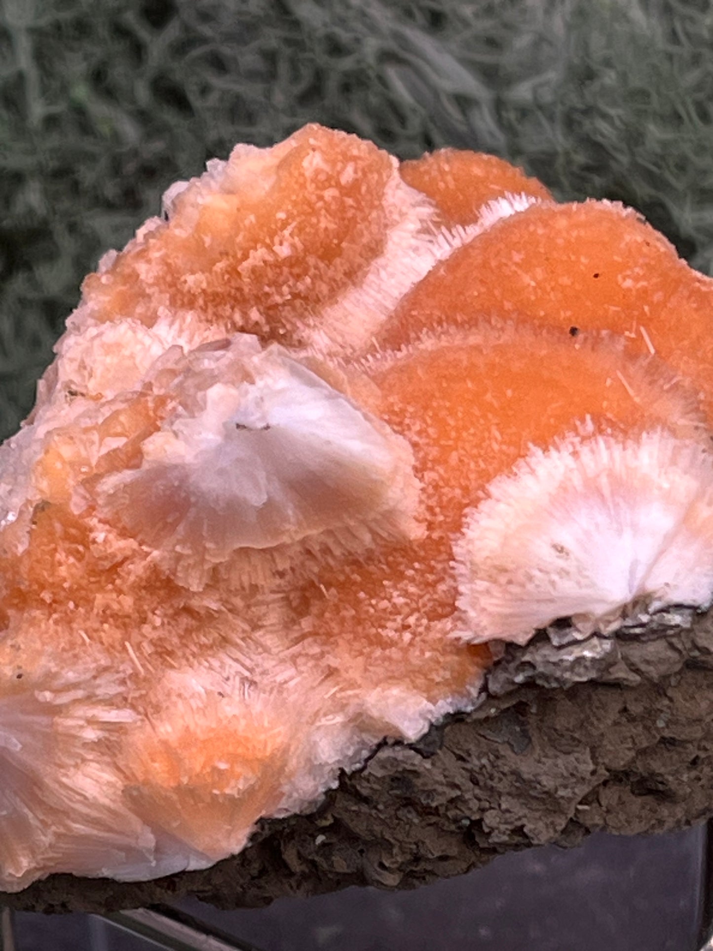 Thomsonit aus Indien (98g) - Stufe - leuchtend orange Farbe, mehrere schöne Kugelbildungen auf Muttergestein - crystal paradise