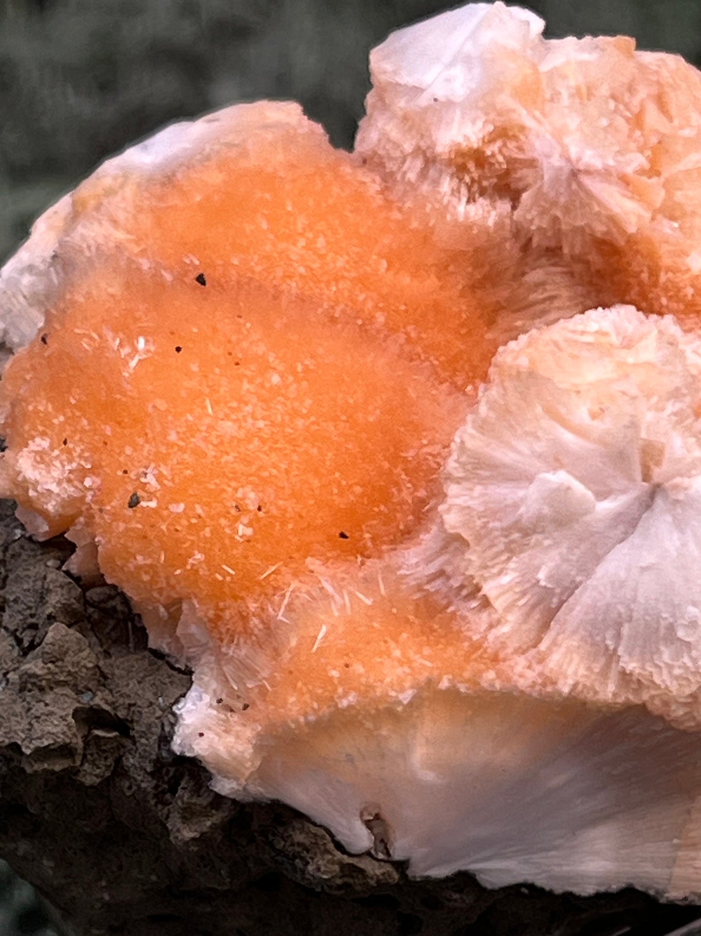 Thomsonit aus Indien (98g) - Stufe - leuchtend orange Farbe, mehrere schöne Kugelbildungen auf Muttergestein - crystal paradise