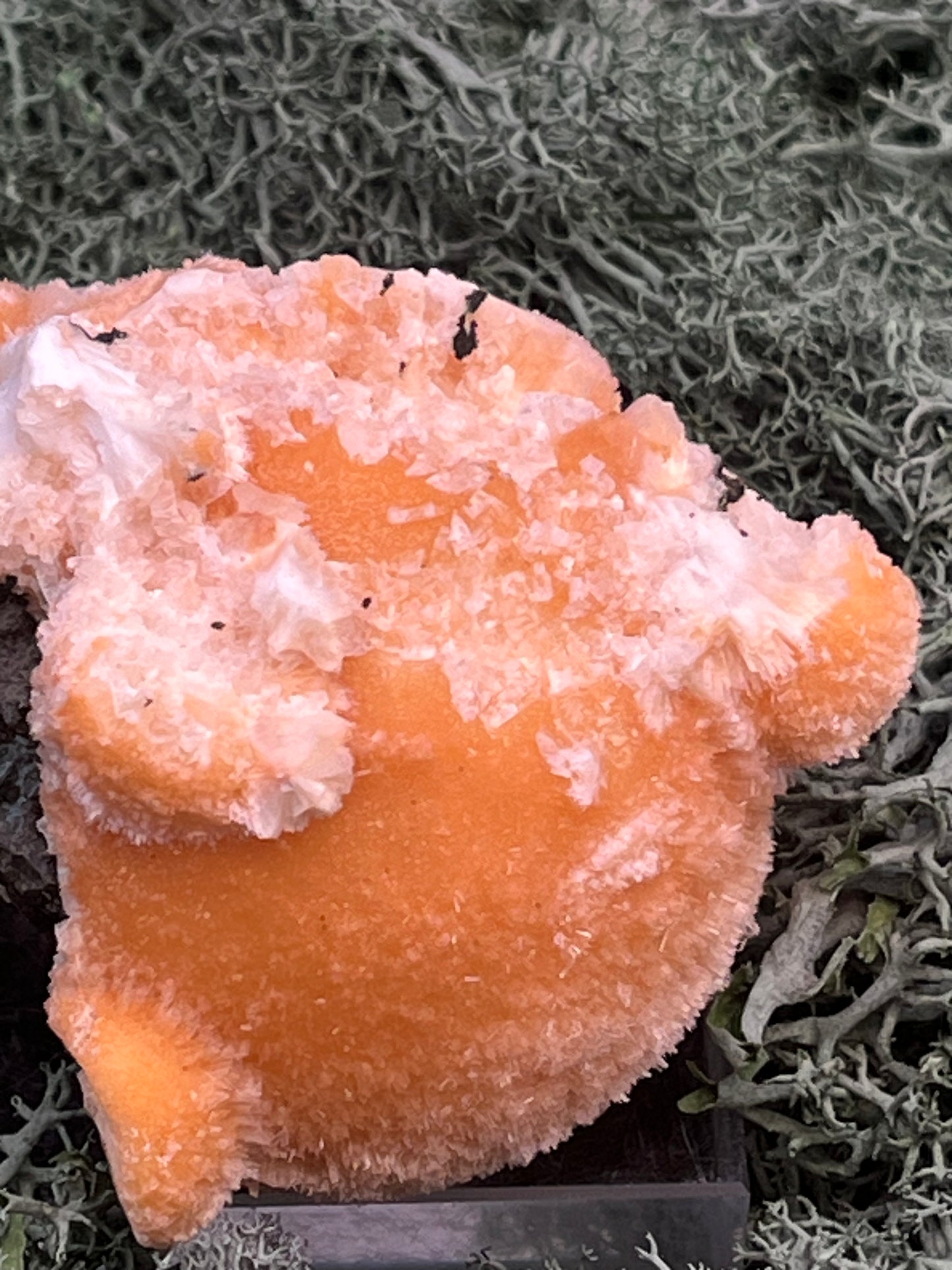 Thomsonit aus Indien (153g) - Stufe - leuchtend orange Farbe, mehrere schöne Kugelbildungen auf Muttergestein - crystal paradise