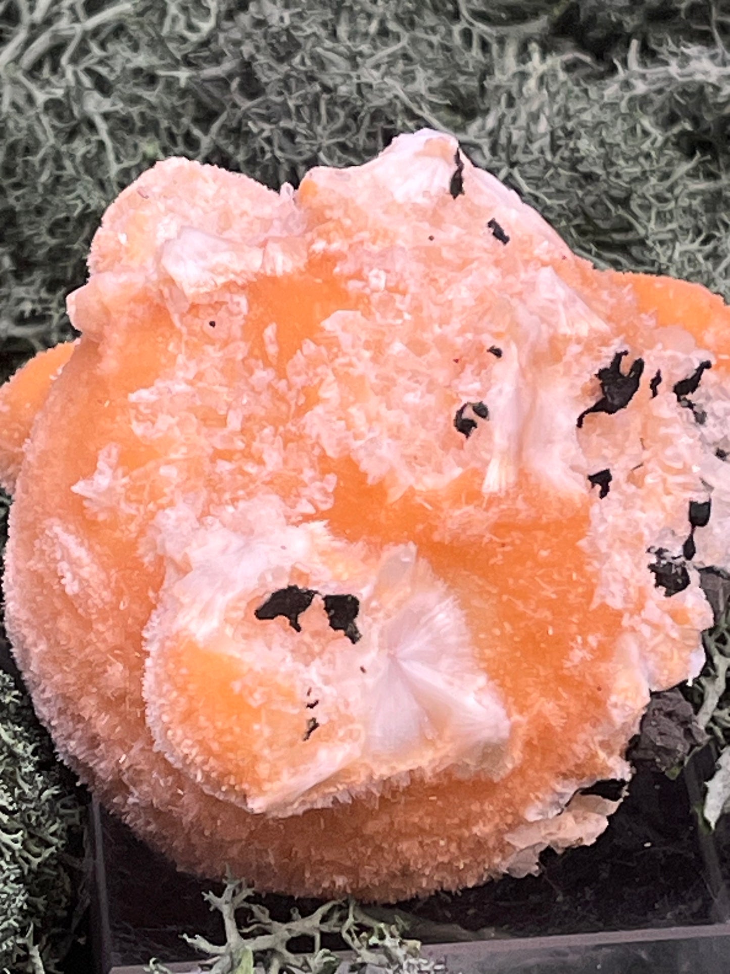 Thomsonit aus Indien (153g) - Stufe - leuchtend orange Farbe, mehrere schöne Kugelbildungen auf Muttergestein - crystal paradise