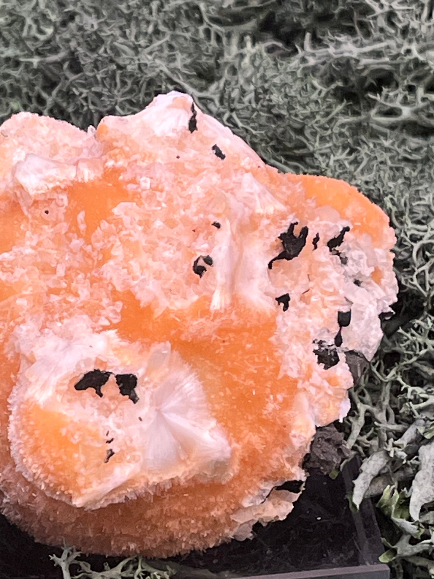Thomsonit aus Indien (153g) - Stufe - leuchtend orange Farbe, mehrere schöne Kugelbildungen auf Muttergestein - crystal paradise