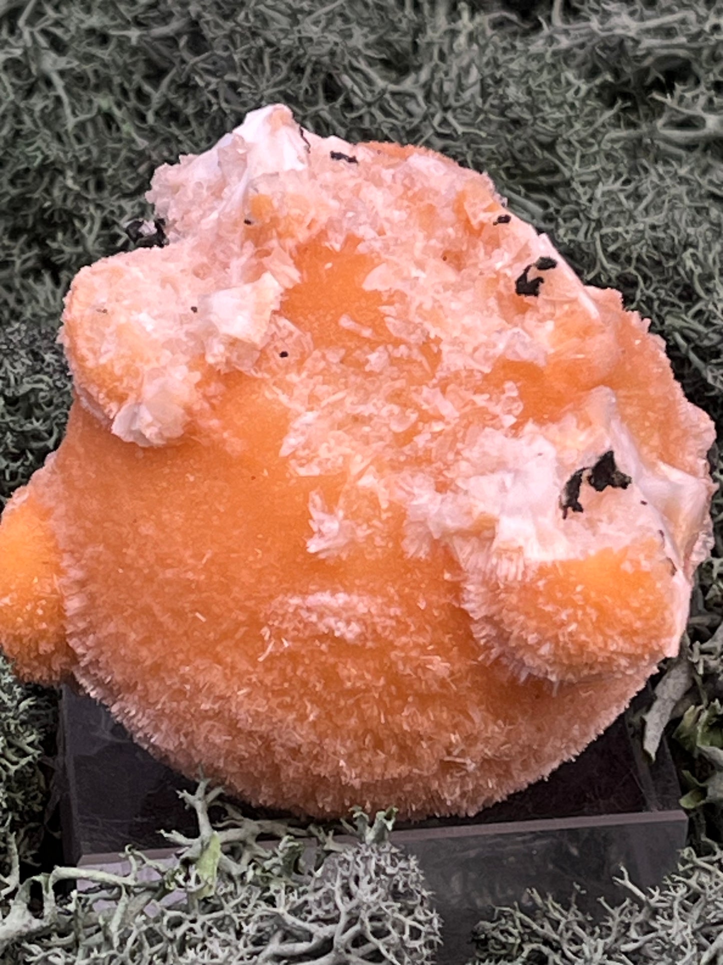 Thomsonit aus Indien (153g) - Stufe - leuchtend orange Farbe, mehrere schöne Kugelbildungen auf Muttergestein - crystal paradise