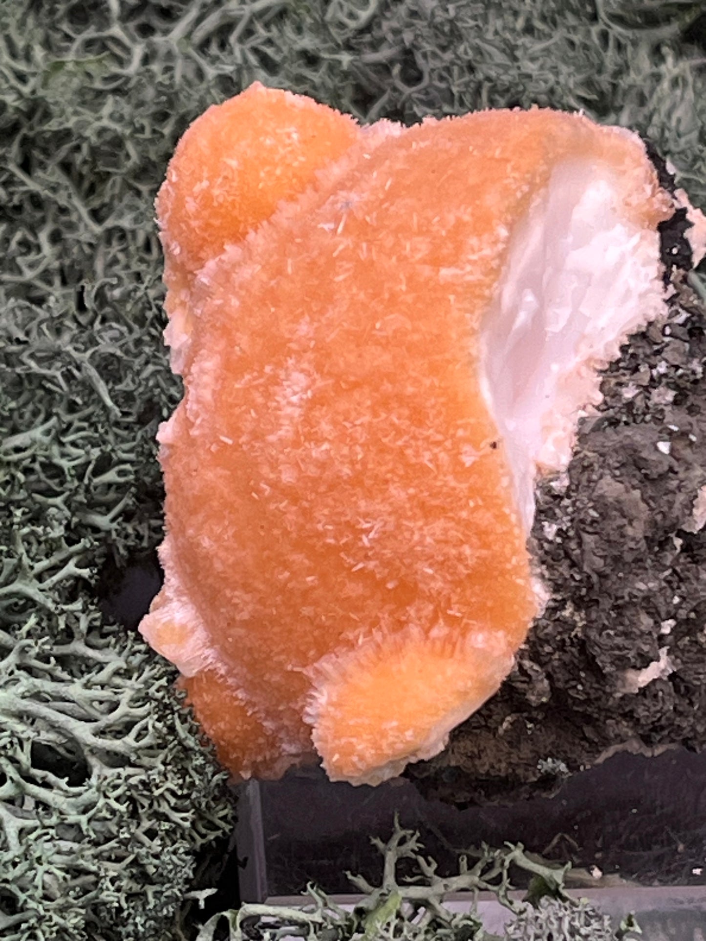 Thomsonit aus Indien (153g) - Stufe - leuchtend orange Farbe, mehrere schöne Kugelbildungen auf Muttergestein - crystal paradise