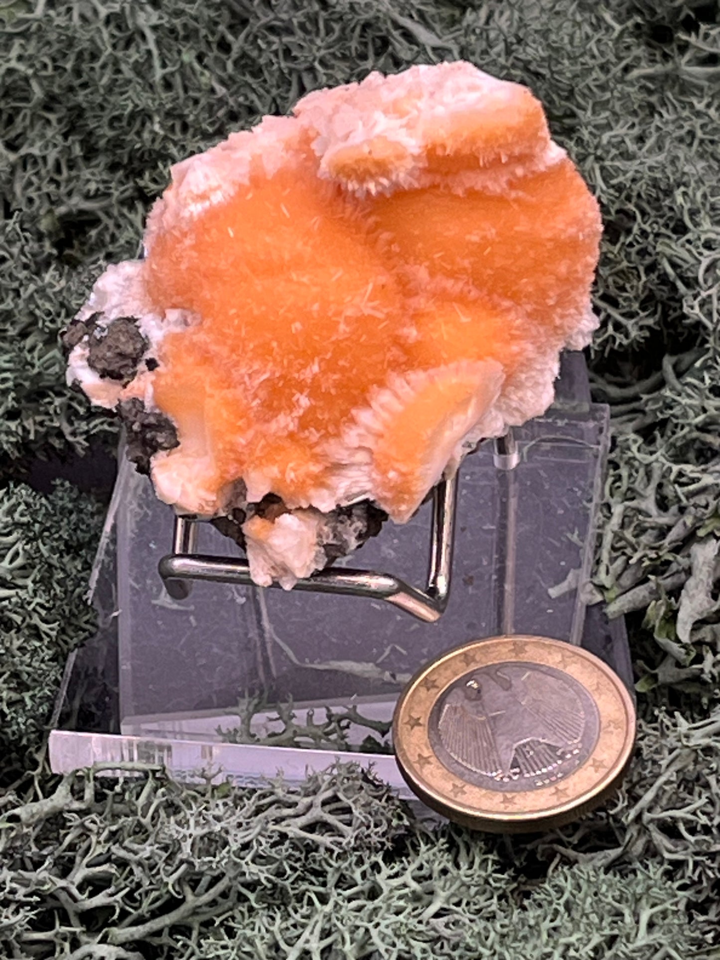 Thomsonit aus Indien (61g) - Stufe - leuchtend orange Farbe, auf Muttergestein - crystal paradise