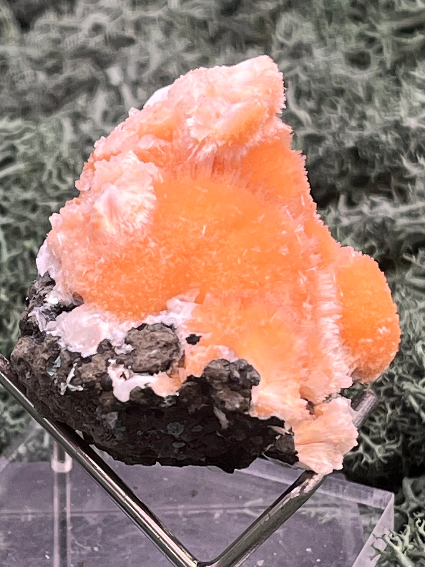 Thomsonit aus Indien (61g) - Stufe - leuchtend orange Farbe, auf Muttergestein - crystal paradise