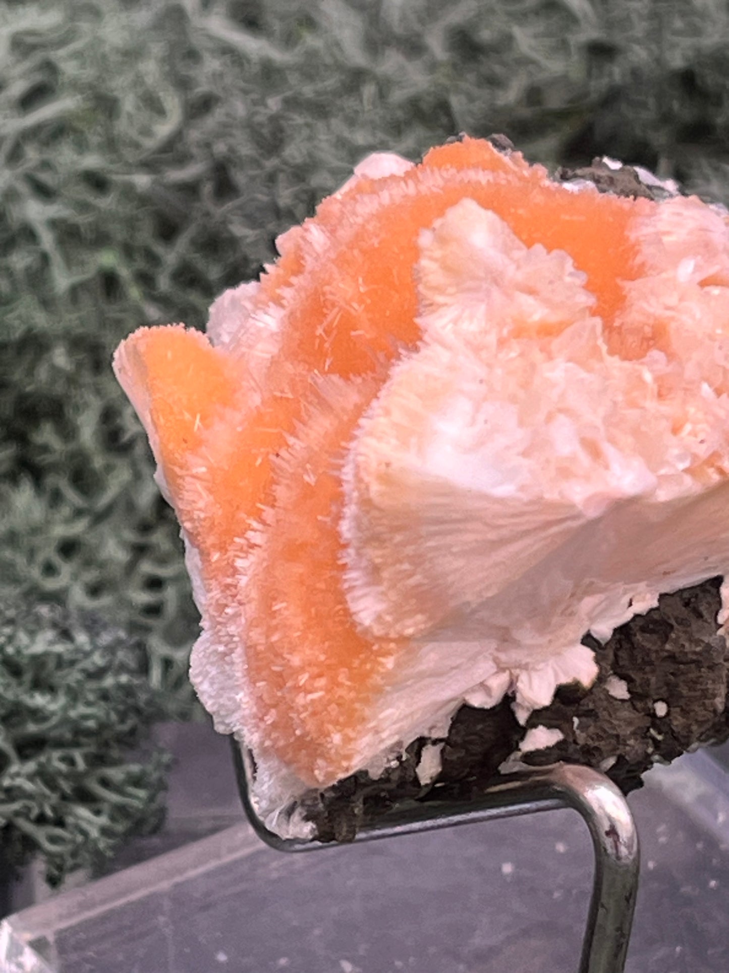 Thomsonit aus Indien (61g) - Stufe - leuchtend orange Farbe, auf Muttergestein - crystal paradise