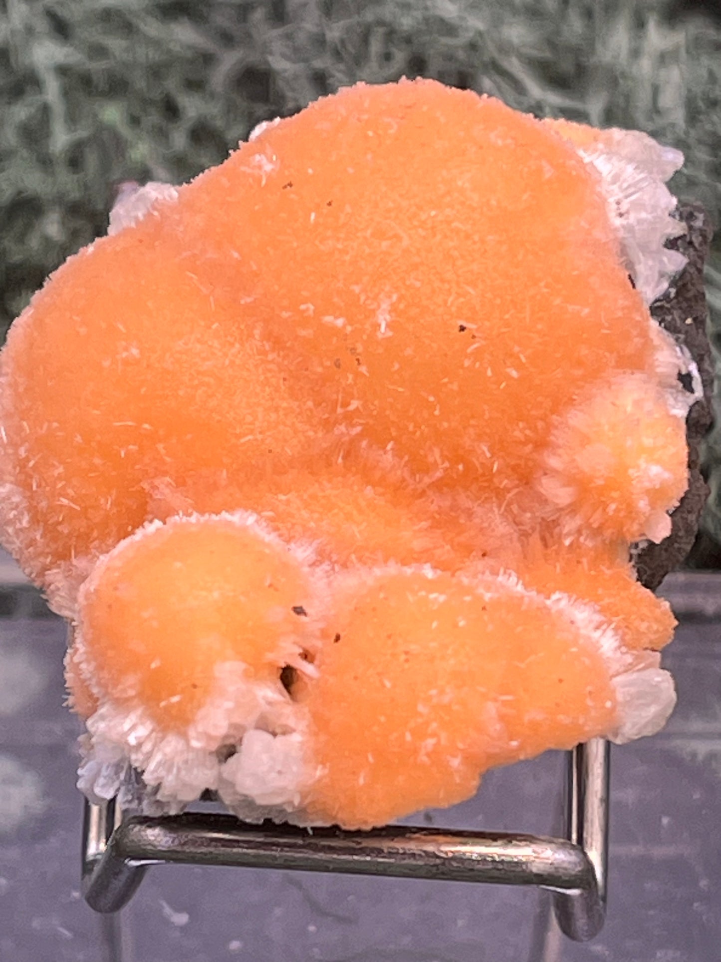 Thomsonit aus Indien (31g) - Stufe - leuchtend orange Farbe, schöne mehrere Kugelbildungen auf Muttergestein - crystal paradise