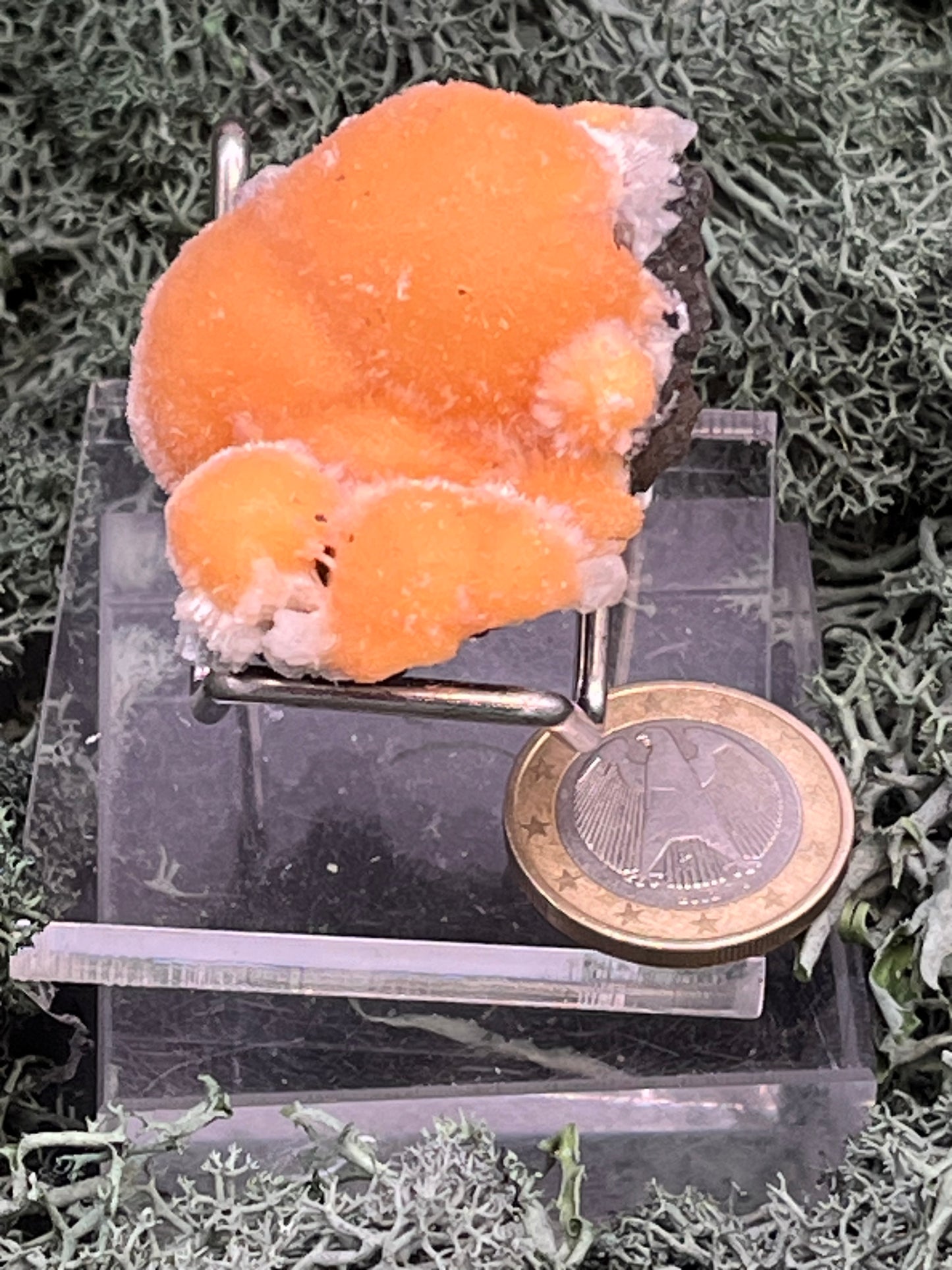 Thomsonit aus Indien (31g) - Stufe - leuchtend orange Farbe, schöne mehrere Kugelbildungen auf Muttergestein - crystal paradise