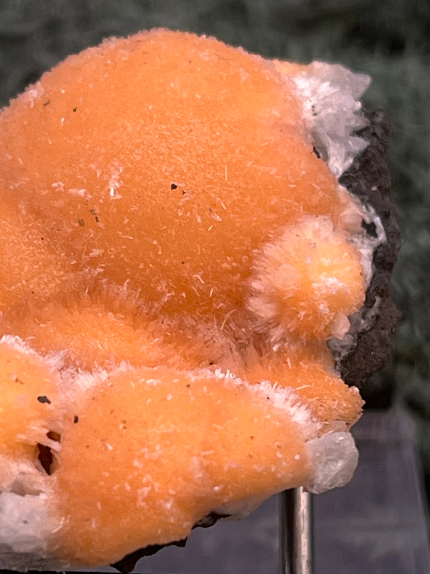 Thomsonit aus Indien (31g) - Stufe - leuchtend orange Farbe, schöne mehrere Kugelbildungen auf Muttergestein - crystal paradise