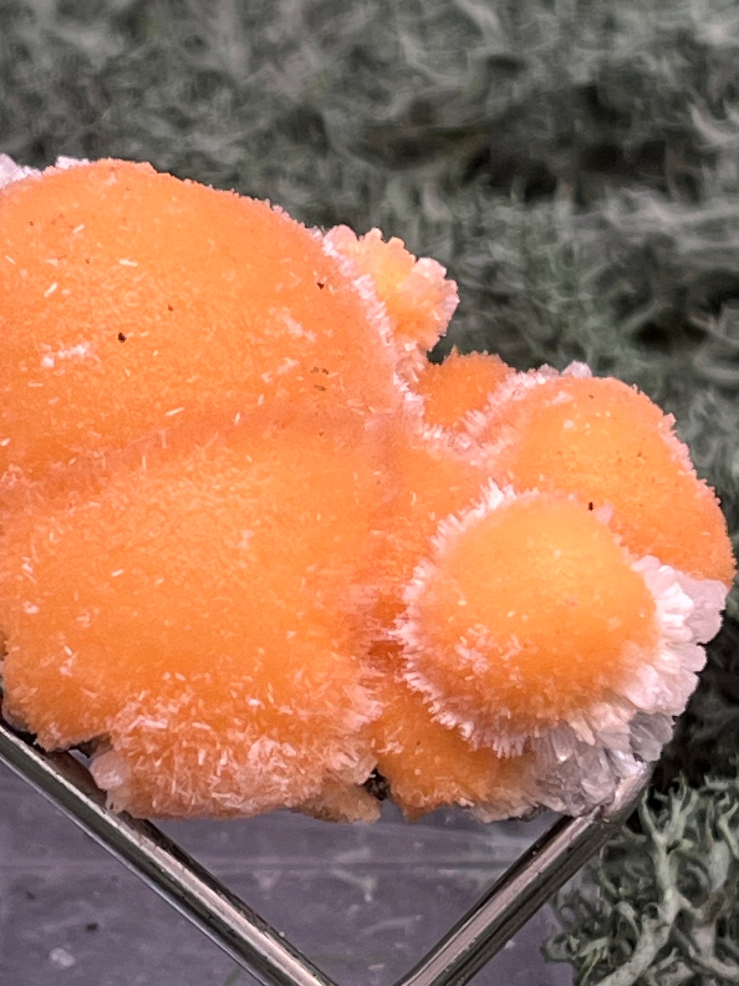 Thomsonit aus Indien (31g) - Stufe - leuchtend orange Farbe, schöne mehrere Kugelbildungen auf Muttergestein - crystal paradise