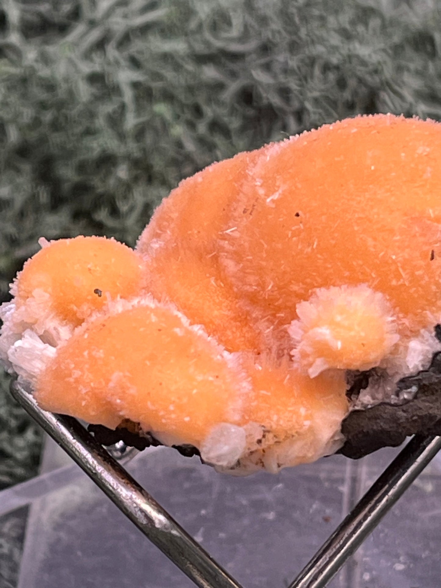Thomsonit aus Indien (31g) - Stufe - leuchtend orange Farbe, schöne mehrere Kugelbildungen auf Muttergestein - crystal paradise