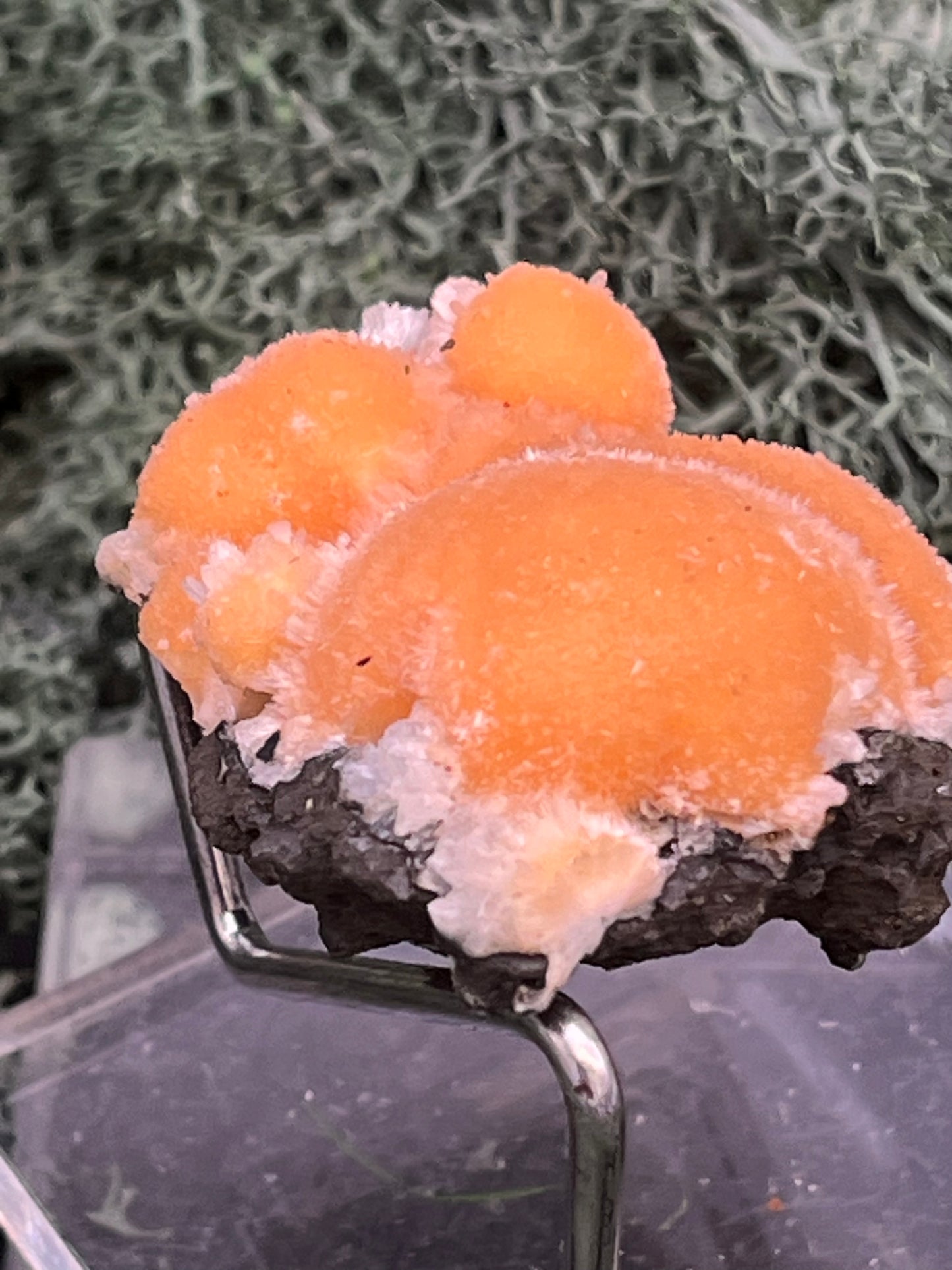 Thomsonit aus Indien (31g) - Stufe - leuchtend orange Farbe, schöne mehrere Kugelbildungen auf Muttergestein - crystal paradise
