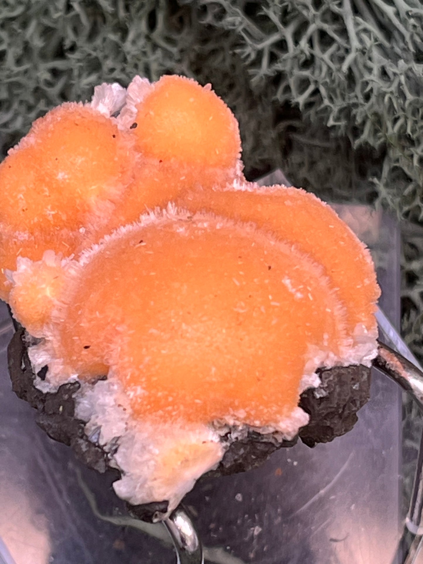 Thomsonit aus Indien (31g) - Stufe - leuchtend orange Farbe, schöne mehrere Kugelbildungen auf Muttergestein - crystal paradise