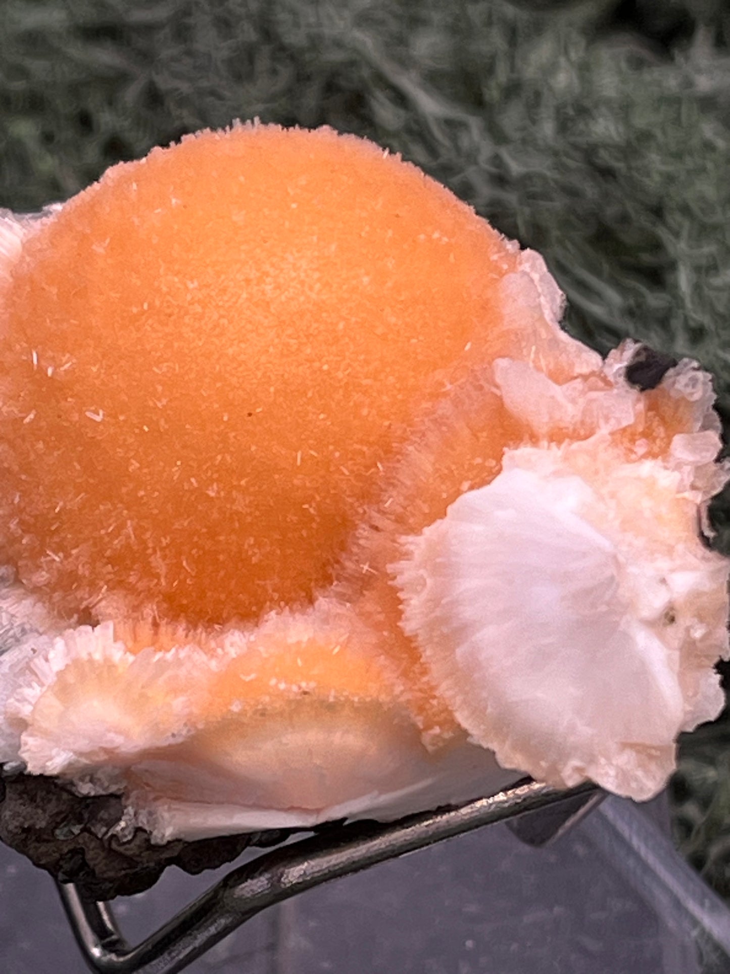 Thomsonit aus Indien (52g) - Stufe - leuchtend orange Farbe, schöne Kugelbildung auf Muttergestein - crystal paradise