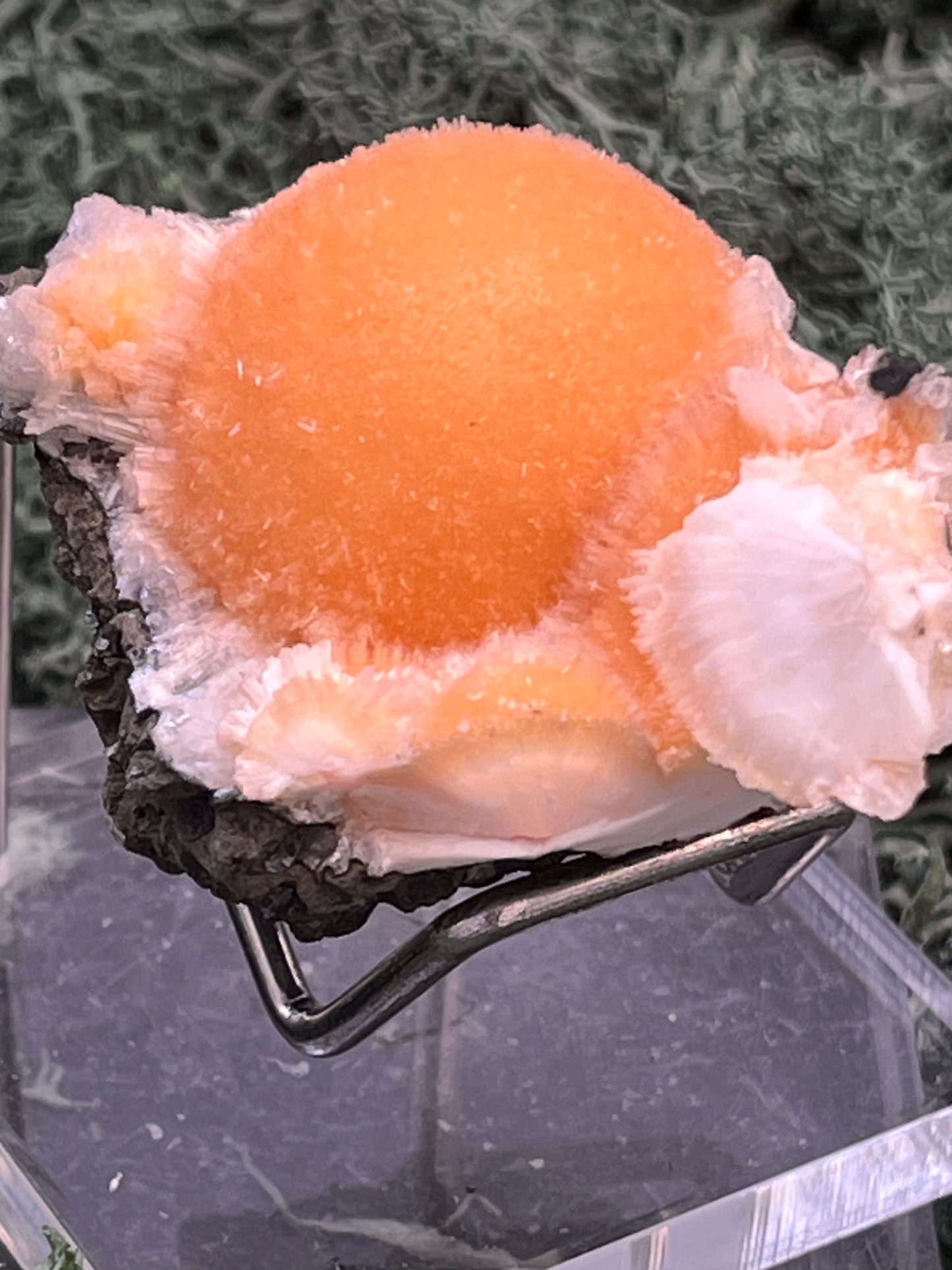Thomsonit aus Indien (52g) - Stufe - leuchtend orange Farbe, schöne Kugelbildung auf Muttergestein - crystal paradise