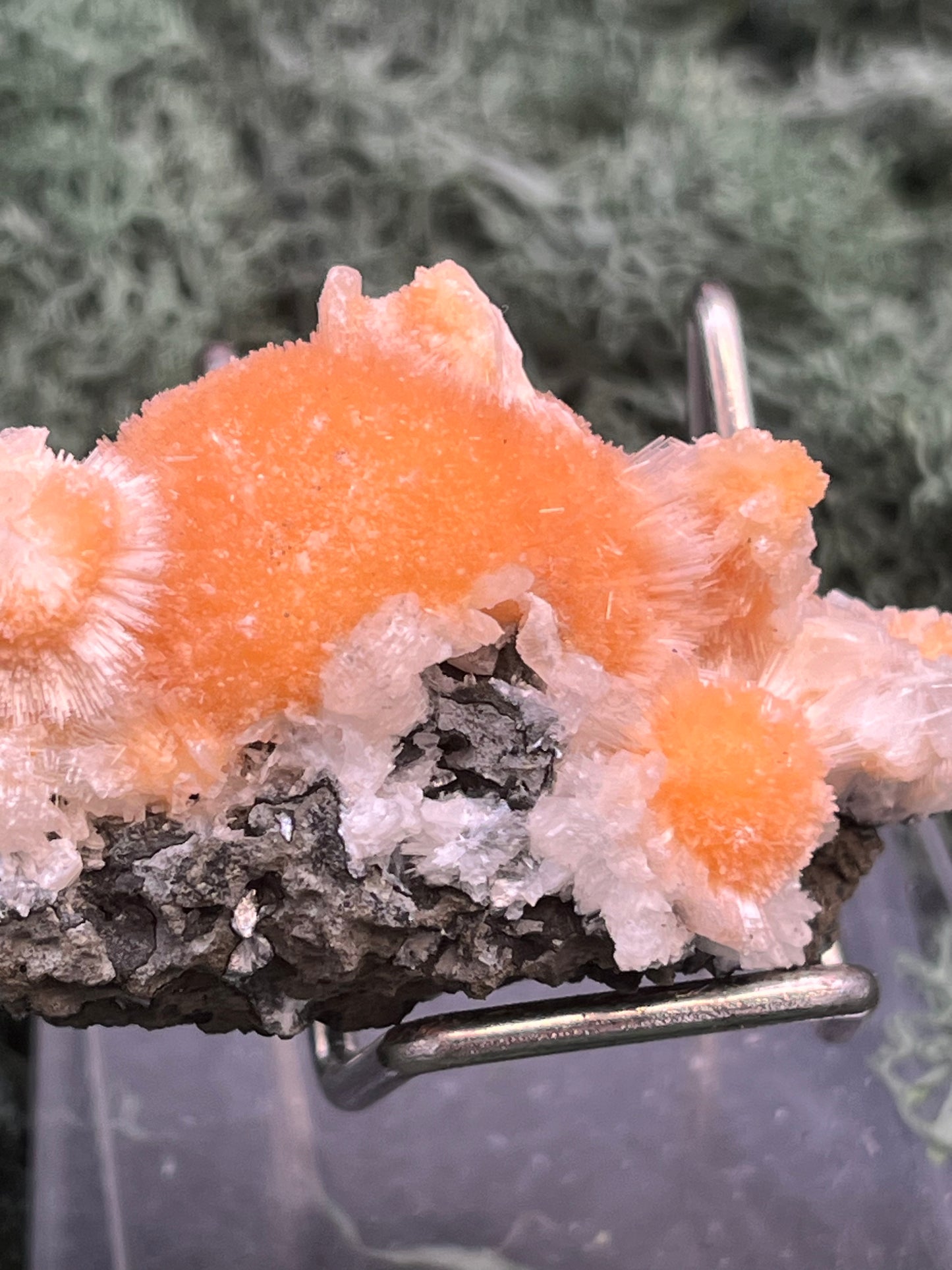 Thomsonit aus Indien (41g) - Stufe - leuchtend orange Farbe, schöne Kugelbildungen - crystal paradise
