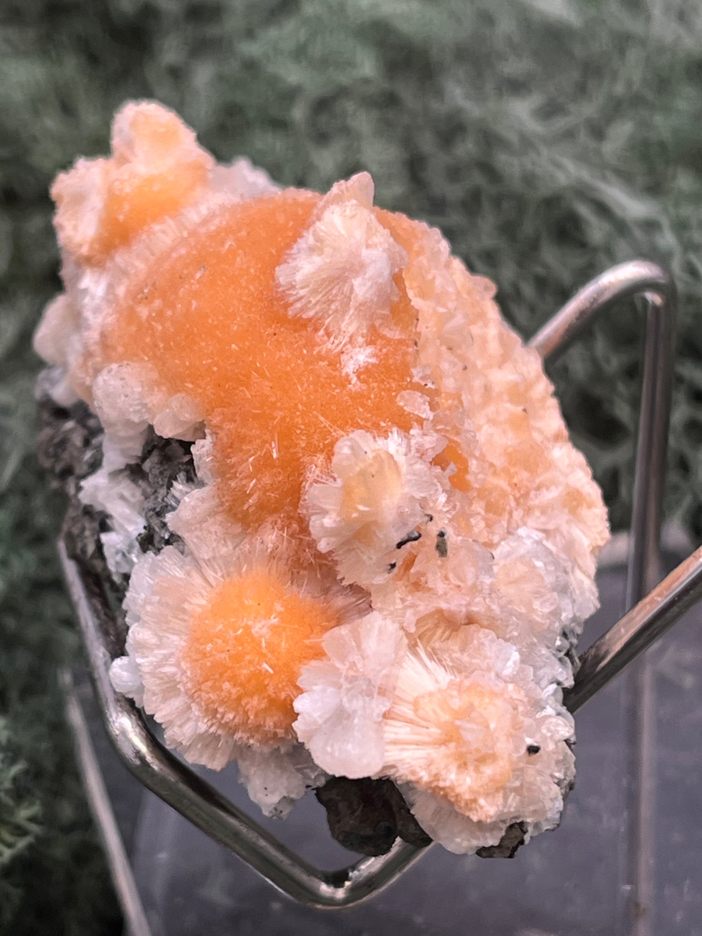 Thomsonit aus Indien (41g) - Stufe - leuchtend orange Farbe, schöne Kugelbildungen - crystal paradise