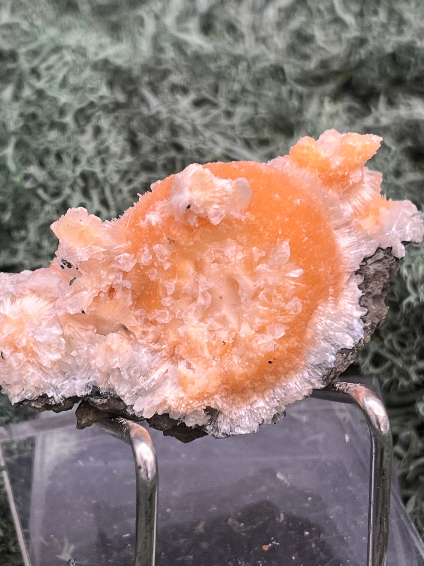 Thomsonit aus Indien (41g) - Stufe - leuchtend orange Farbe, schöne Kugelbildungen - crystal paradise